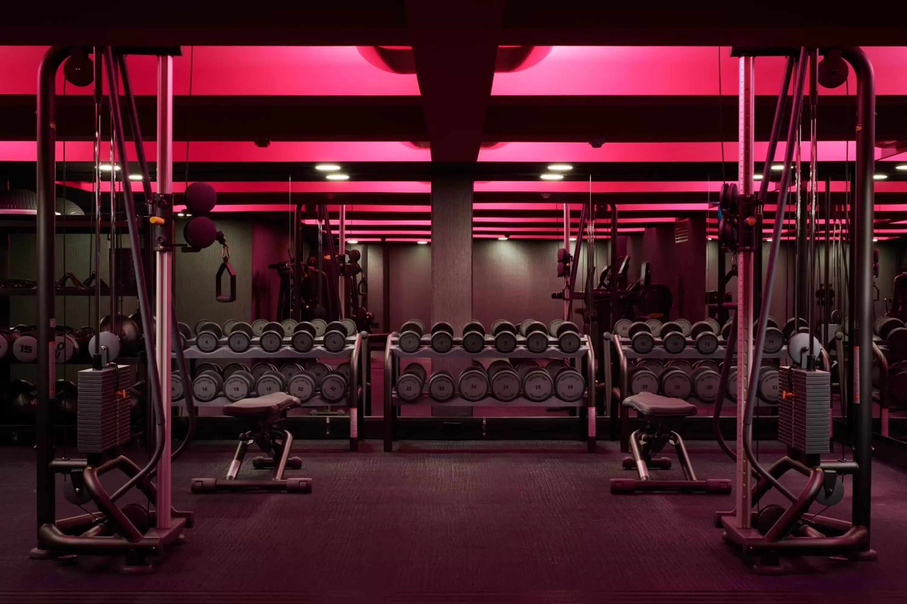 Fitness centre/facilities, Fitness Center/Facilities in Malmaison York