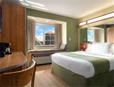 One-Bedroom Suite - Disability Access/Non-Smoking in Microtel Inn & Suites by Wyndham Saraland