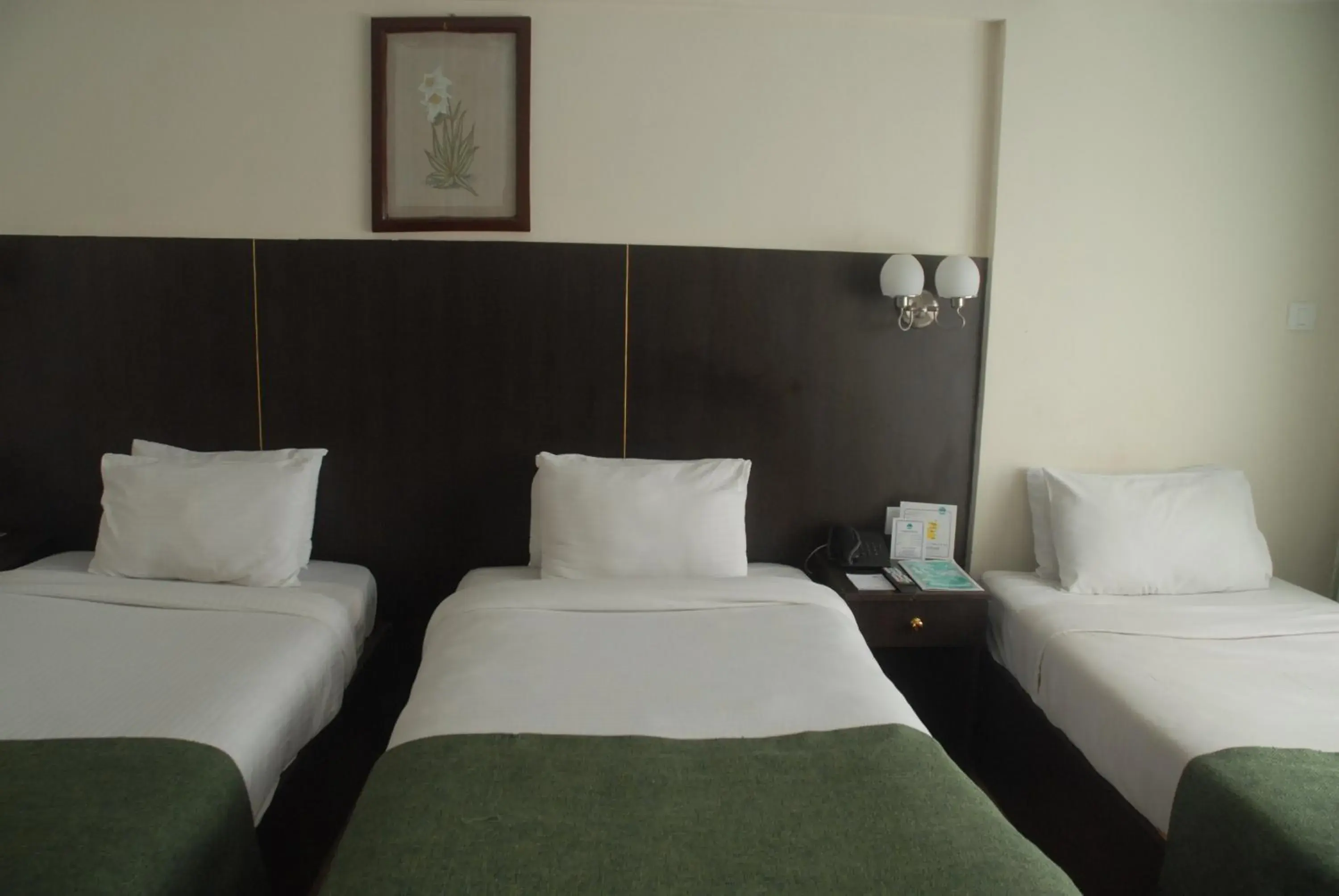Photo of the whole room, Bed in Hotel Vaishali