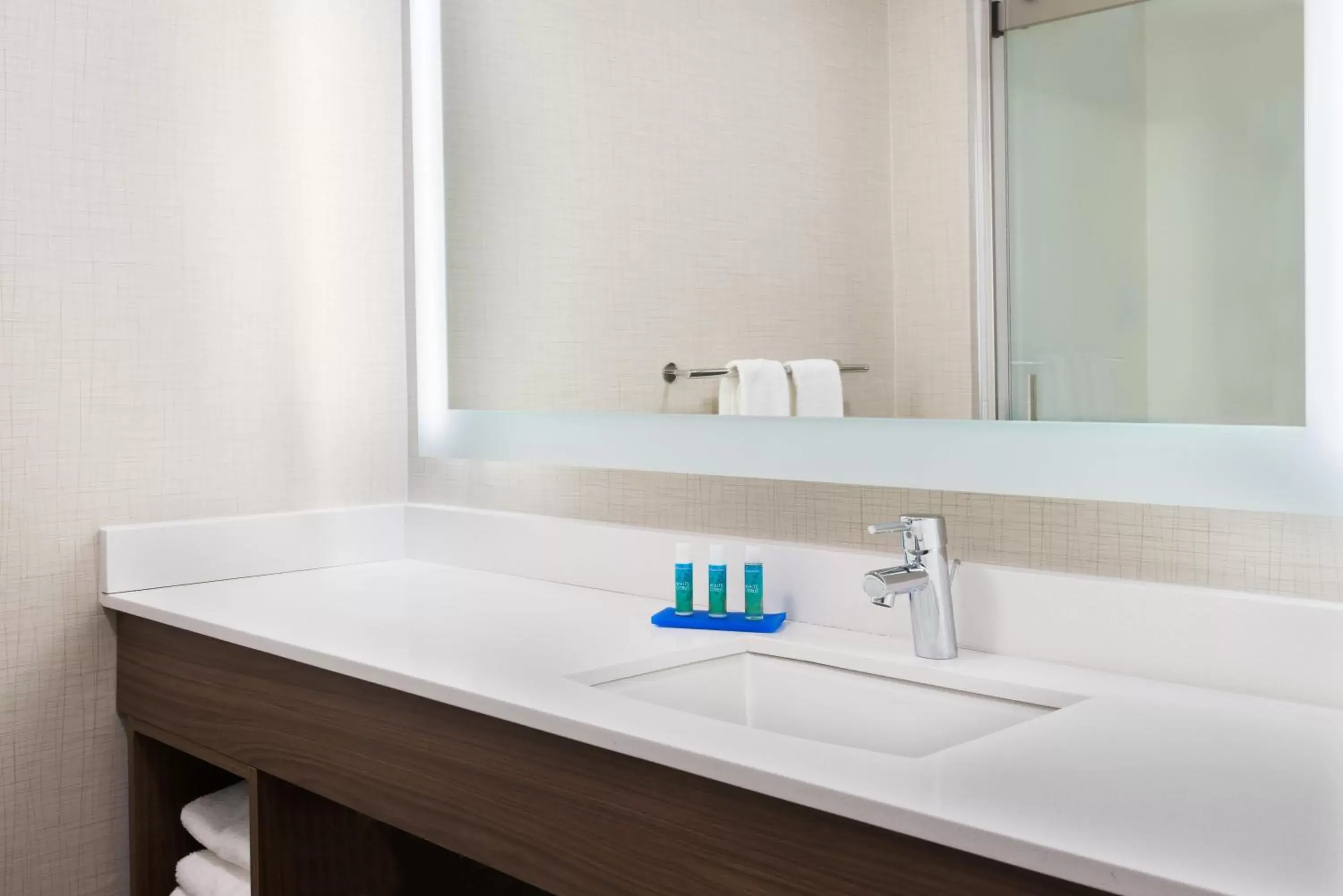 Bathroom in Holiday Inn Express & Suites - Columbus Airport East, an IHG Hotel