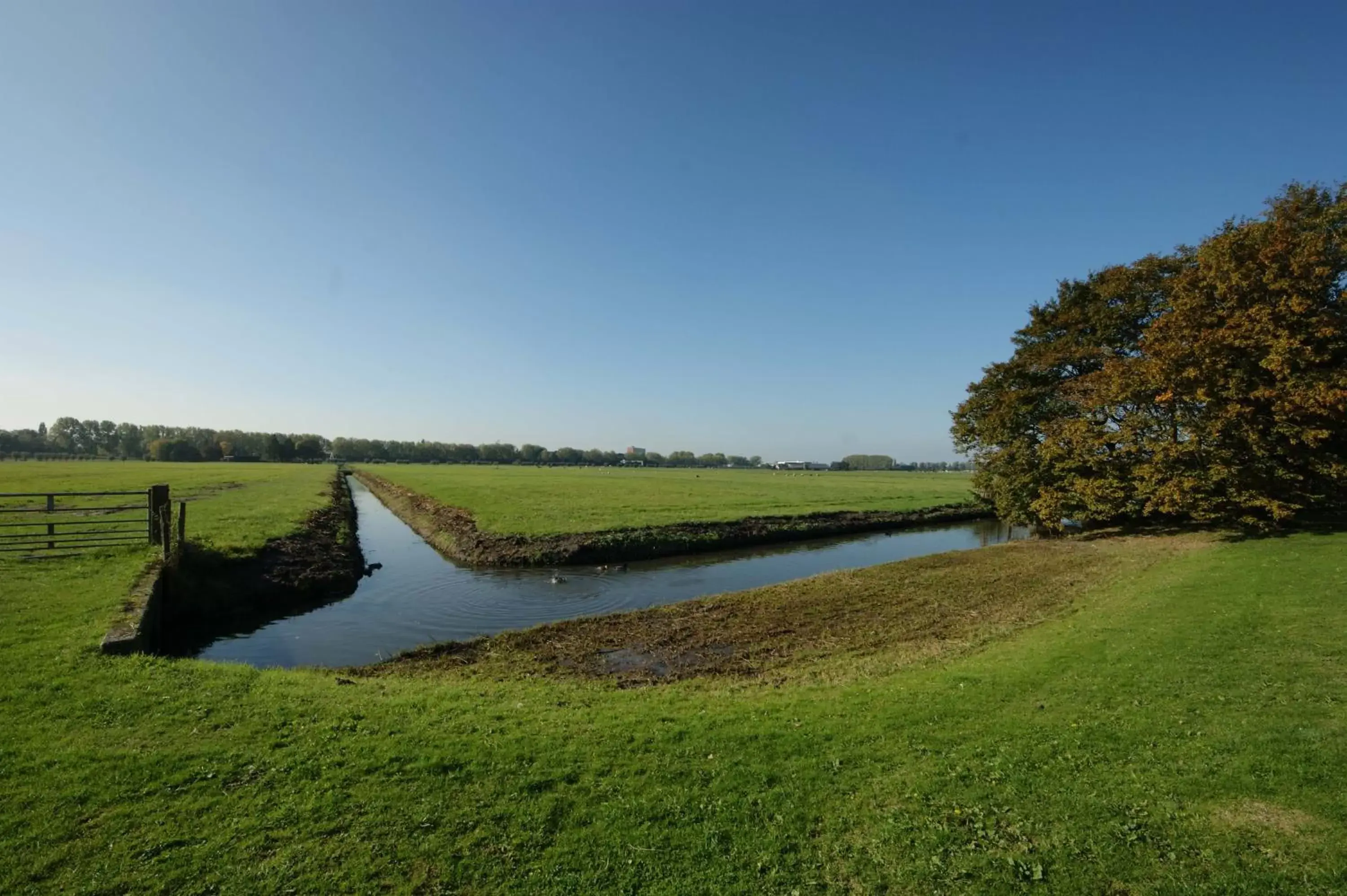 Natural landscape, Garden in Bed&Breakfast Maasland