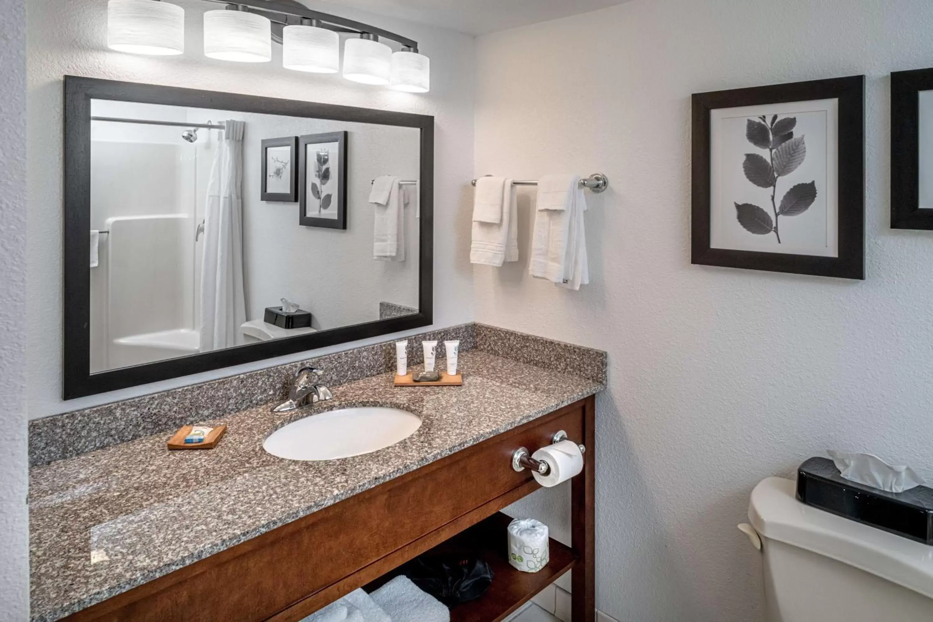 Bathroom in Country Inn & Suites by Radisson, Beckley, WV