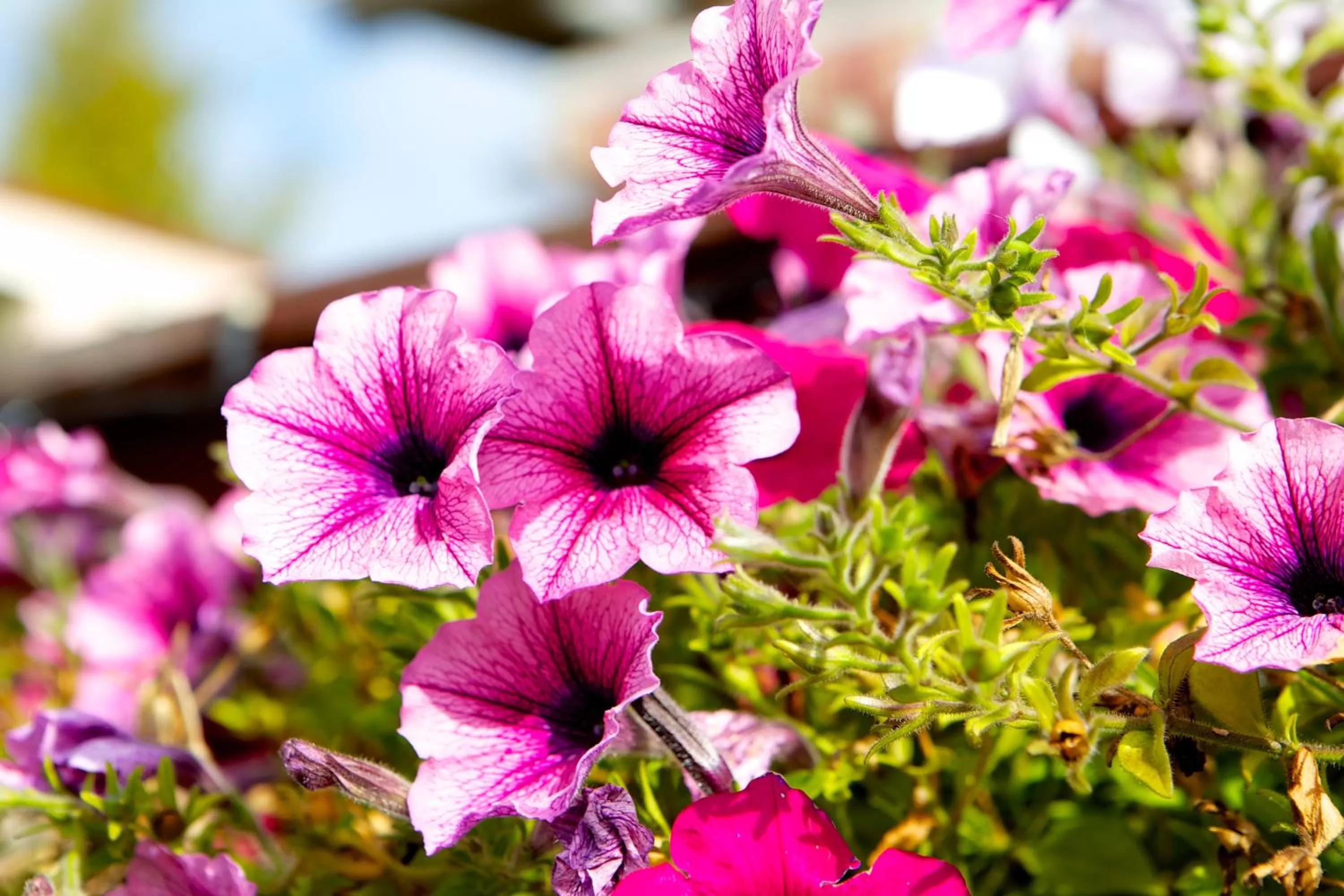 Other in Värdshuset Stopet