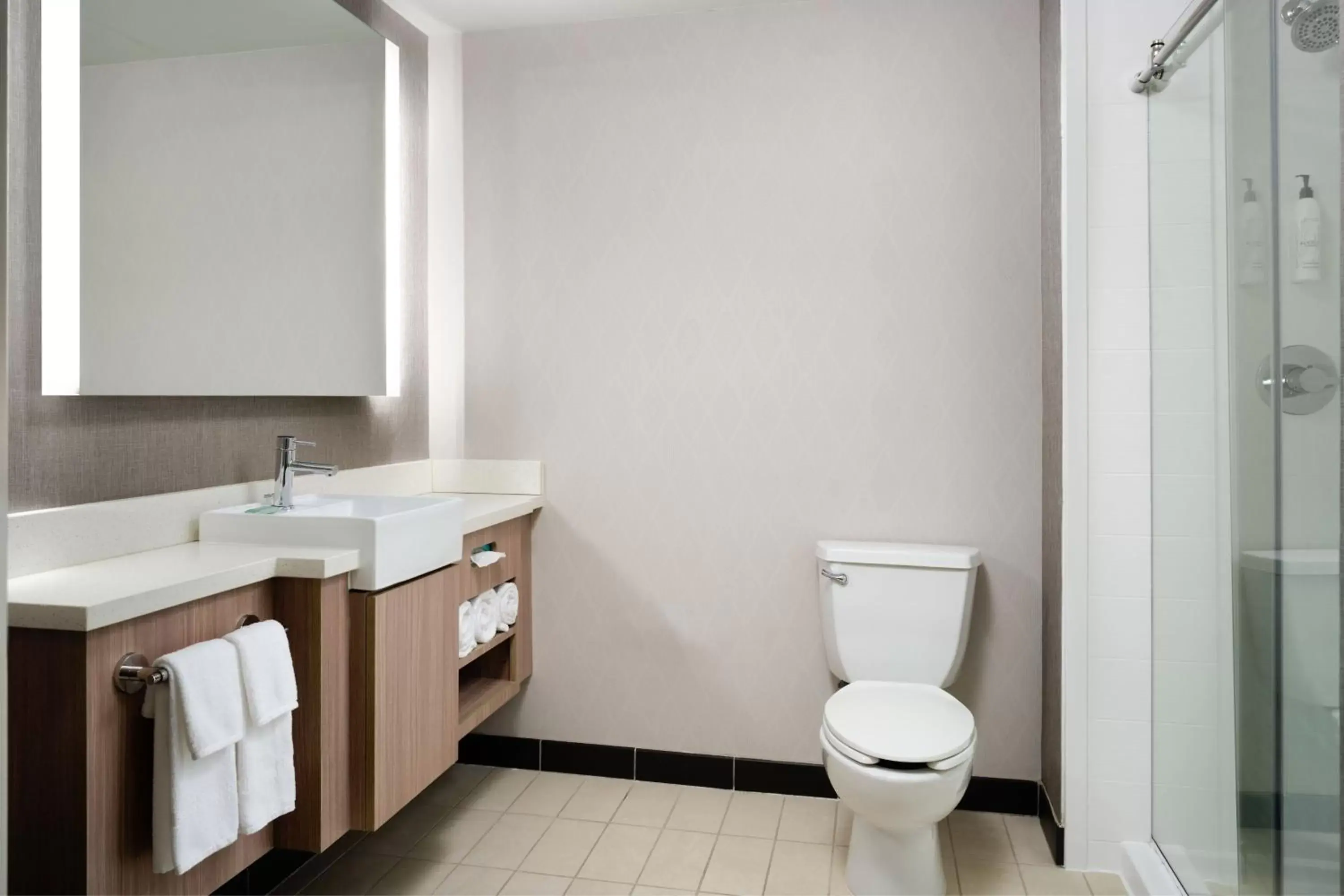 Bathroom in Spring Hill Suites Minneapolis-St. Paul Airport/Mall Of America