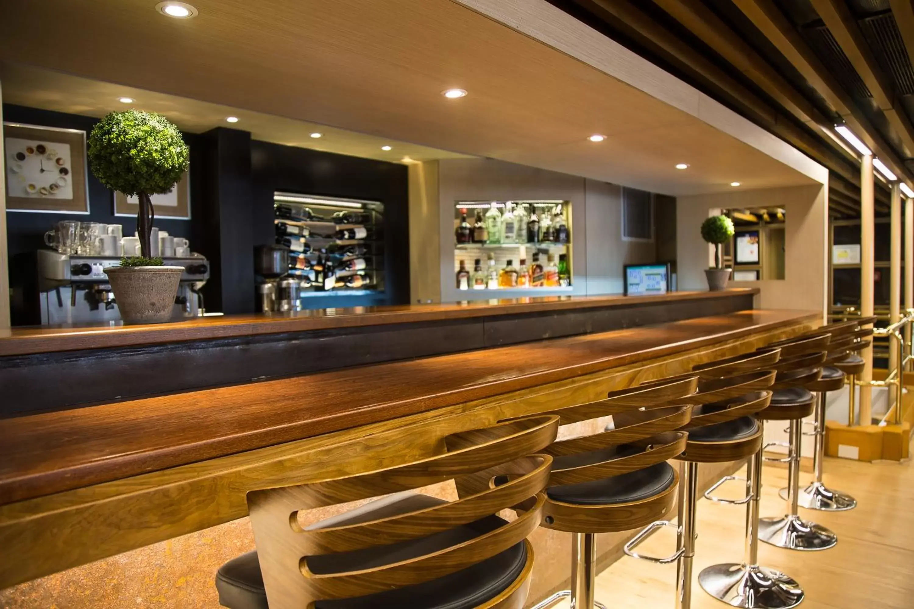 Lounge or bar in Regente Palace Hotel Lounge or bar in Regente Palace Hotel