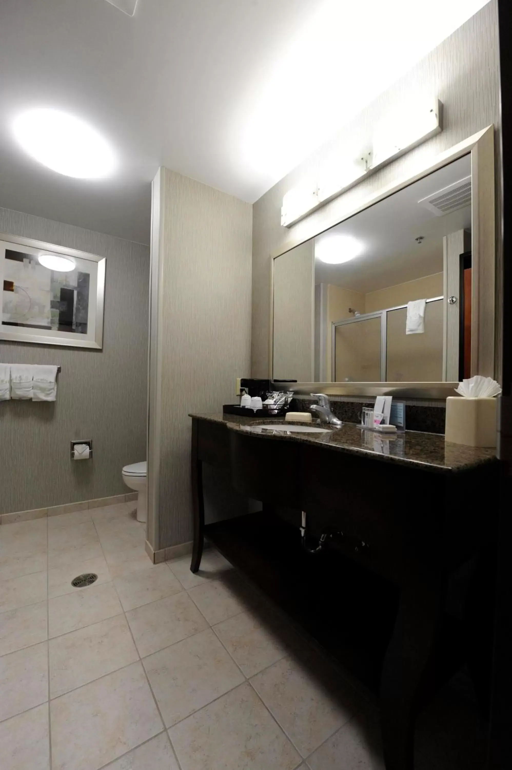 Bathroom in Hampton Inn & Suites Craig, CO