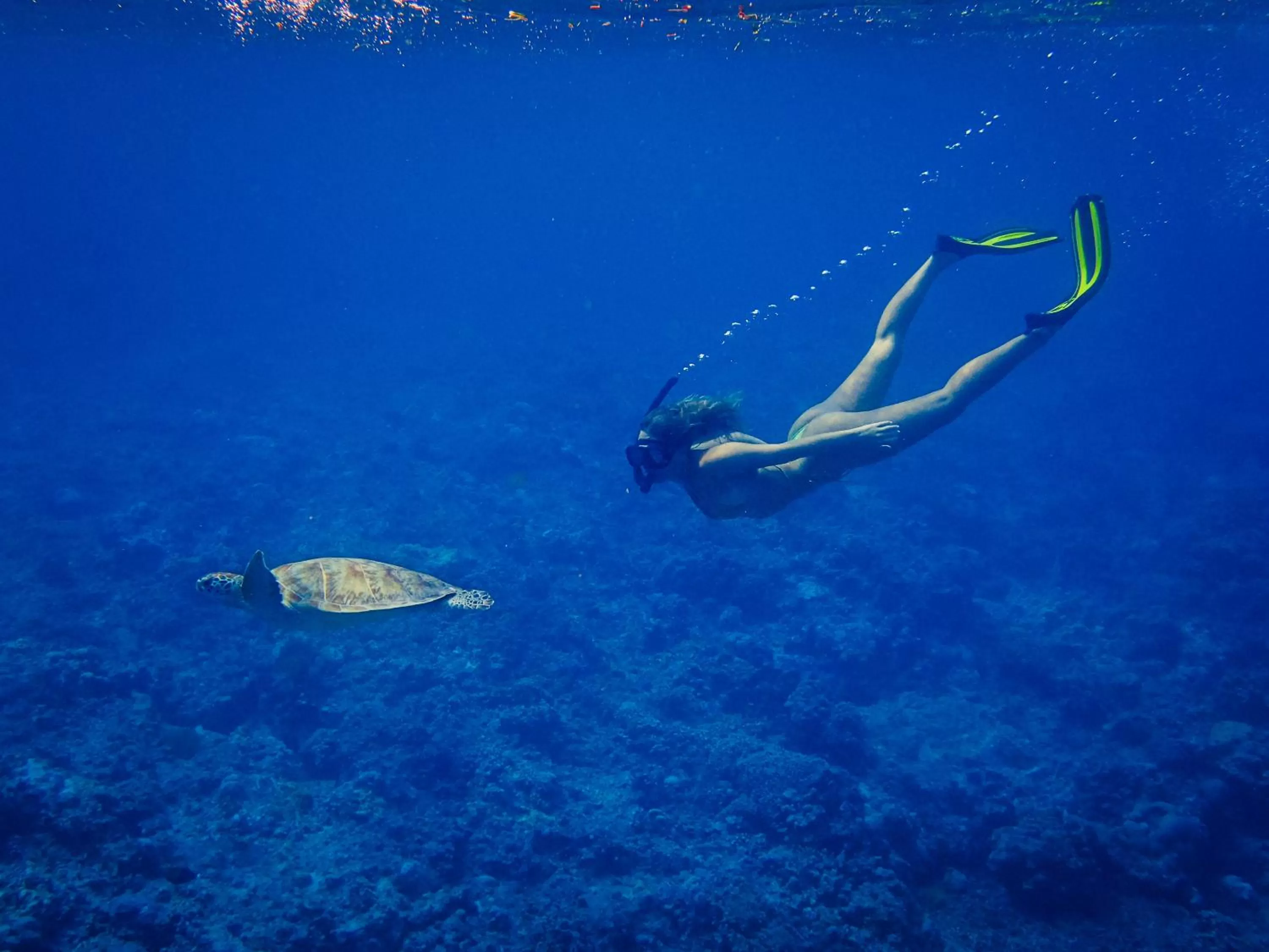 Snorkeling in Seri Resort Gili Meno - Adults Only