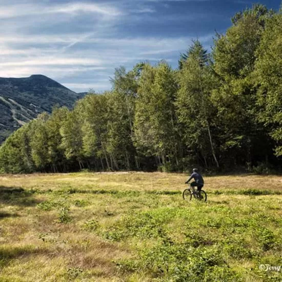 Mountain view in Snowy Owl Inn