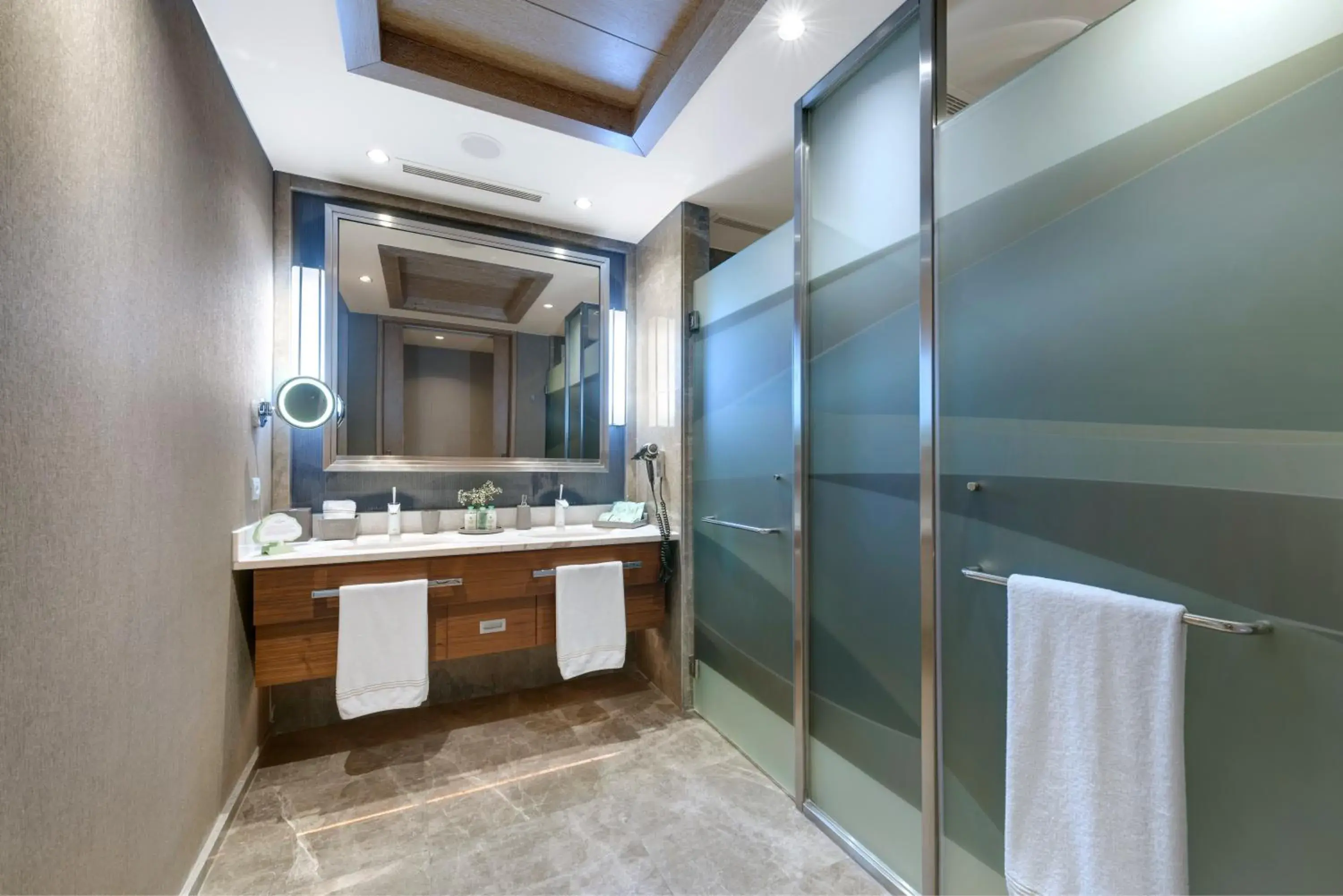 Bathroom in Regnum Carya