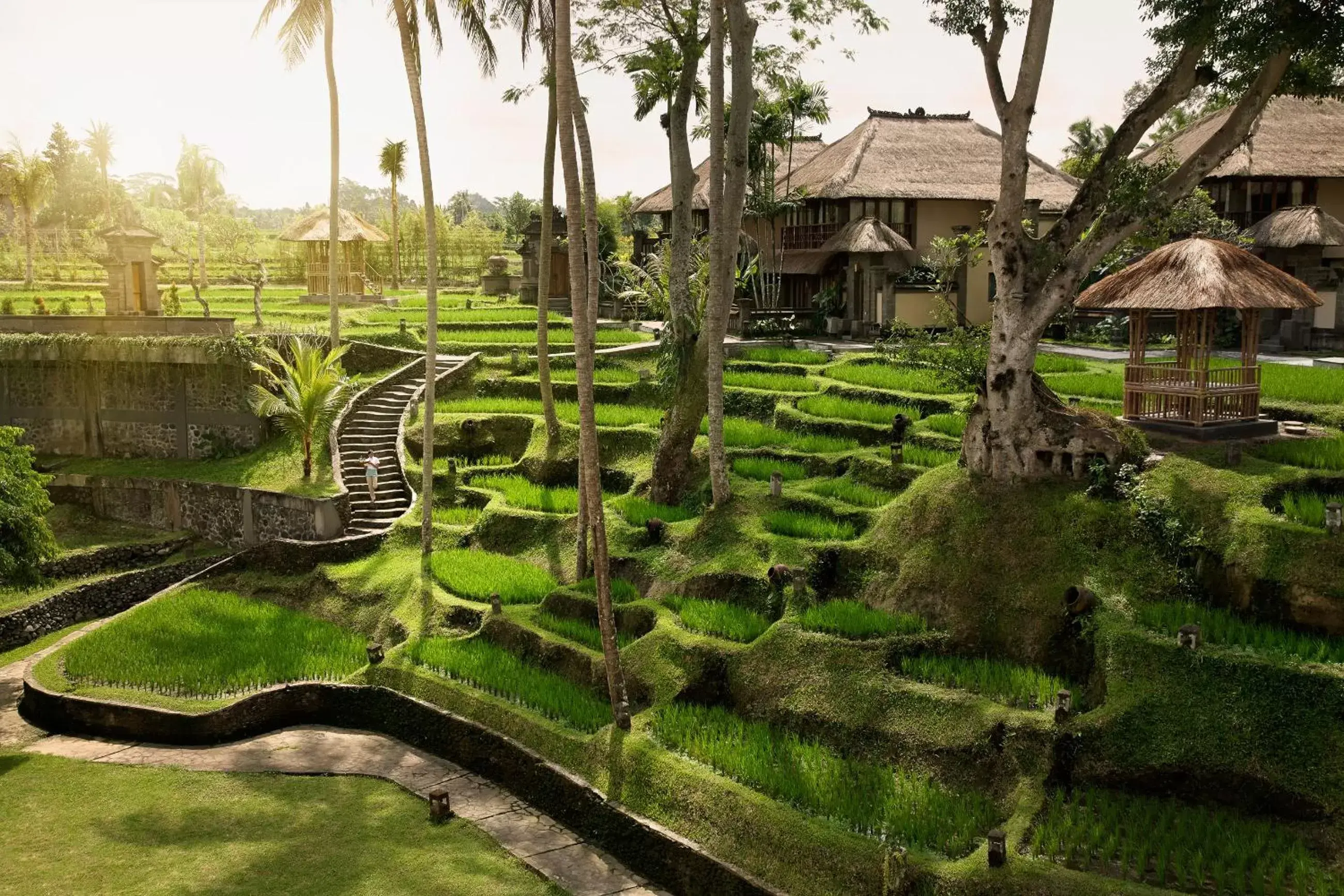 Garden in Kamandalu Ubud - CHSE Certified