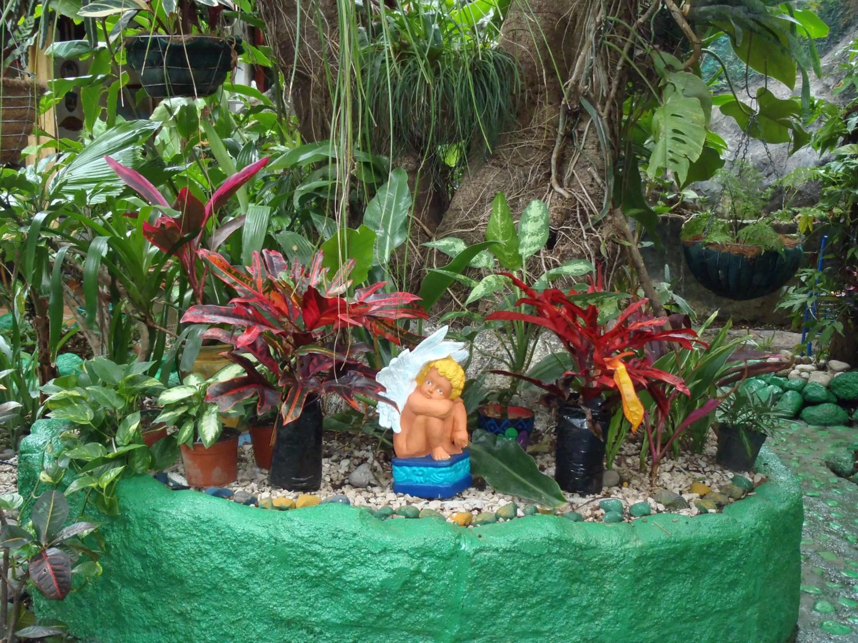 Garden in Casa Lima B&B