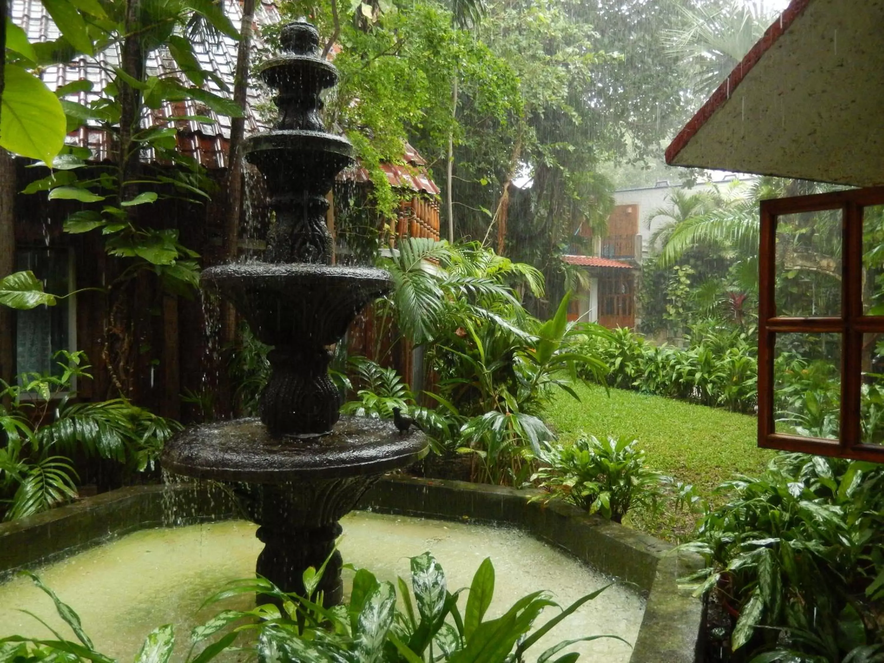 Garden in Eco-hotel El Rey del Caribe