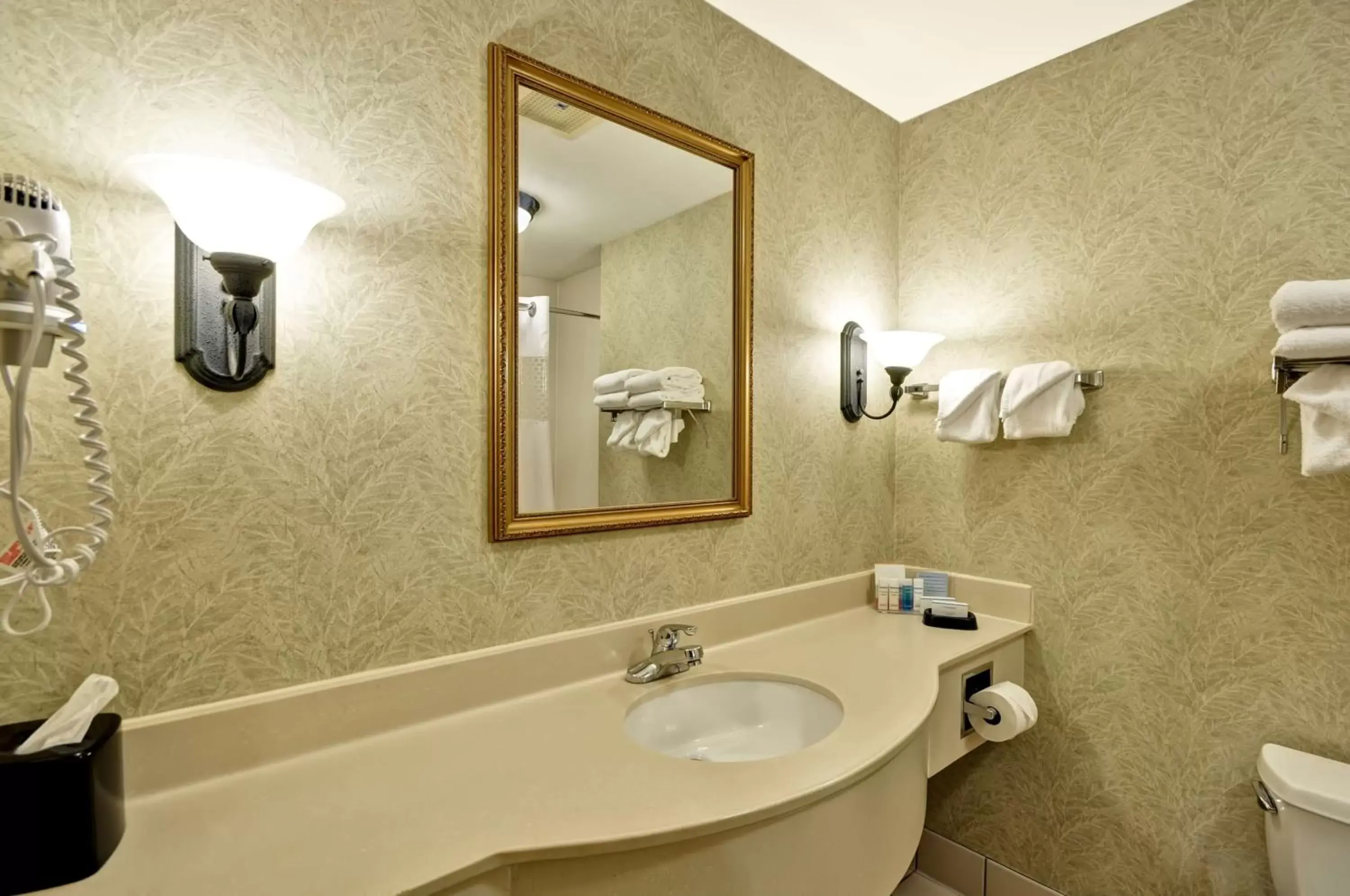 Bathroom in Hampton Inn & Suites Charleston-West Ashley