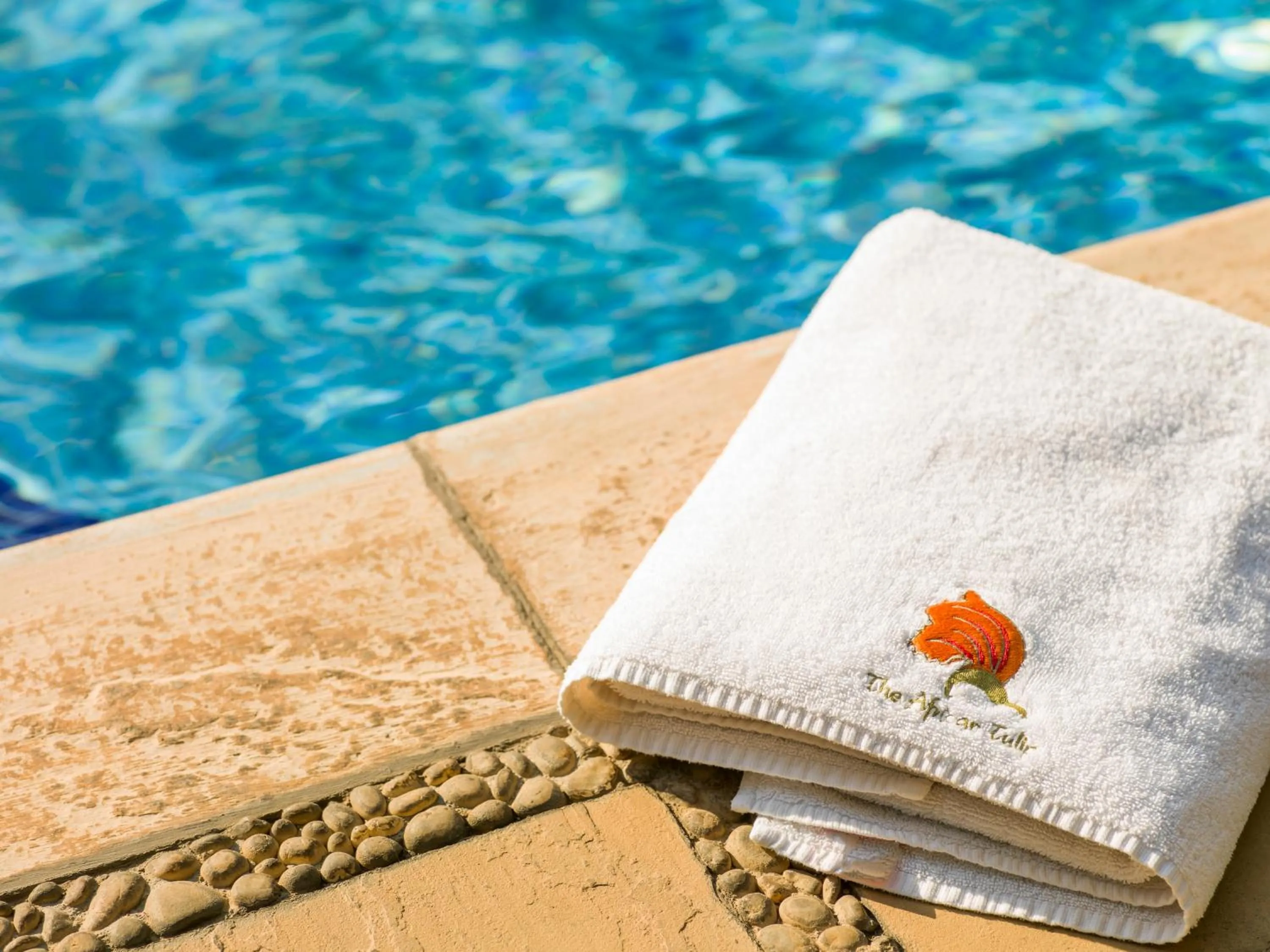 Day in African Tulip Hotel