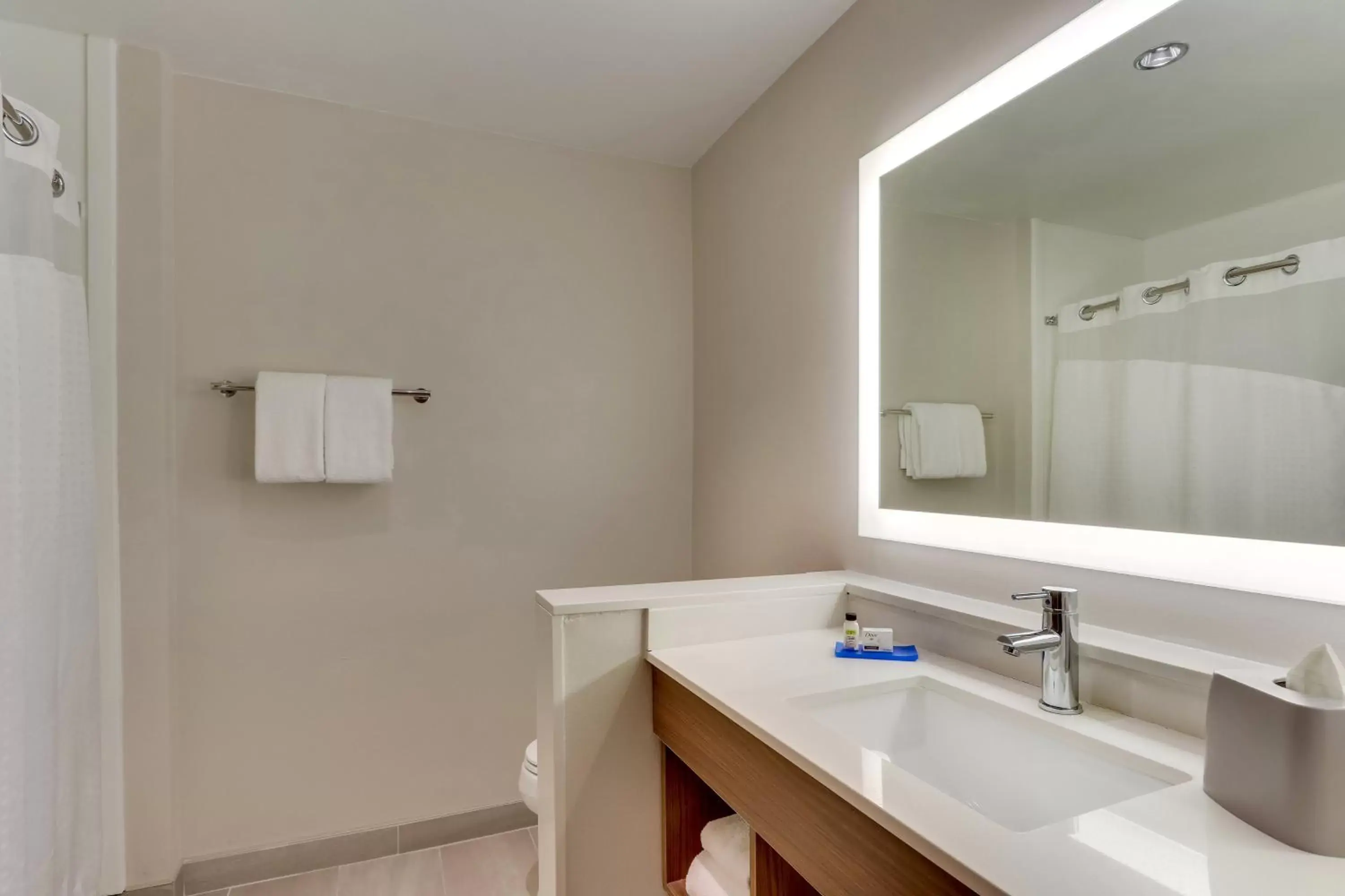 Photo of the whole room, Bathroom in Holiday Inn Express & Suites - Dawsonville, an IHG Hotel