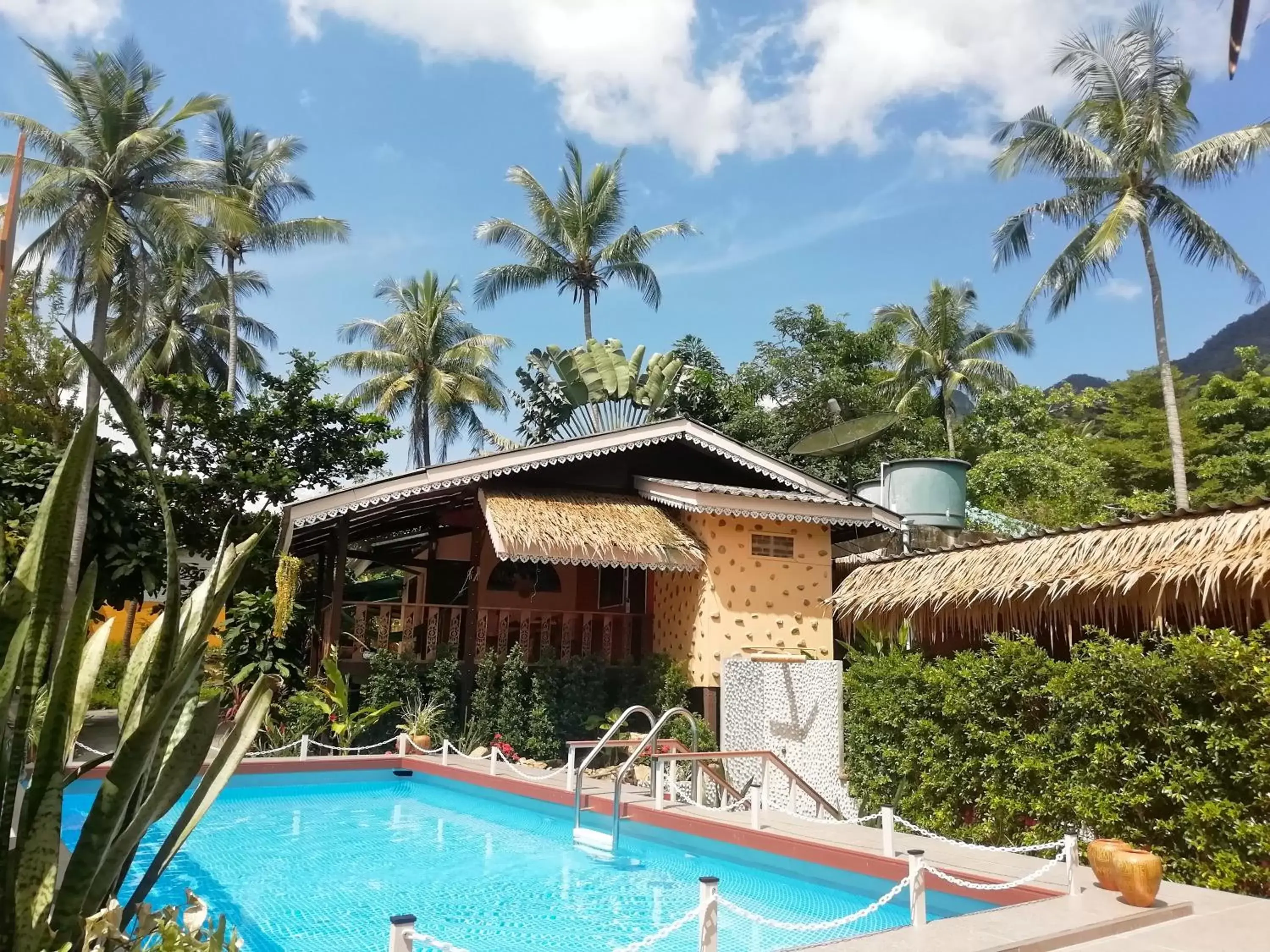 Pool view, Swimming Pool in Macura Resort