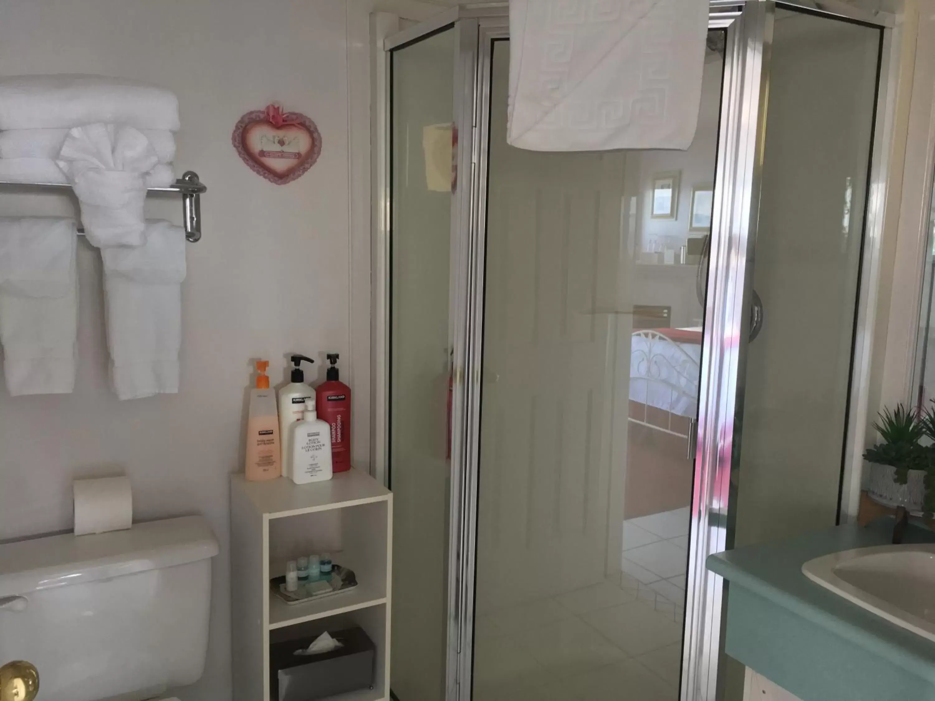 Shower, Bathroom in Casa Grande Inn