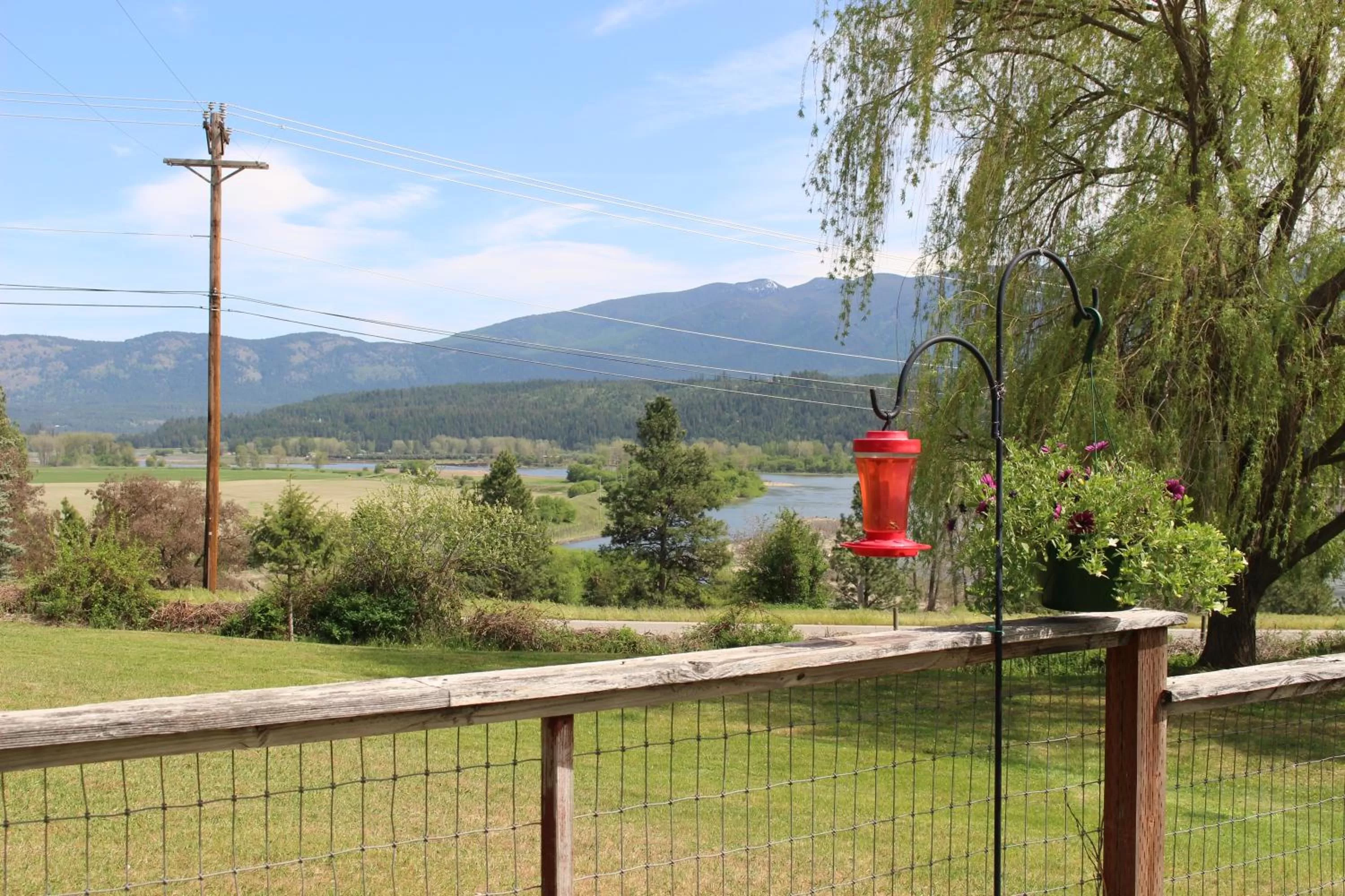 Mountain view in Northside School Bed & Breakfast