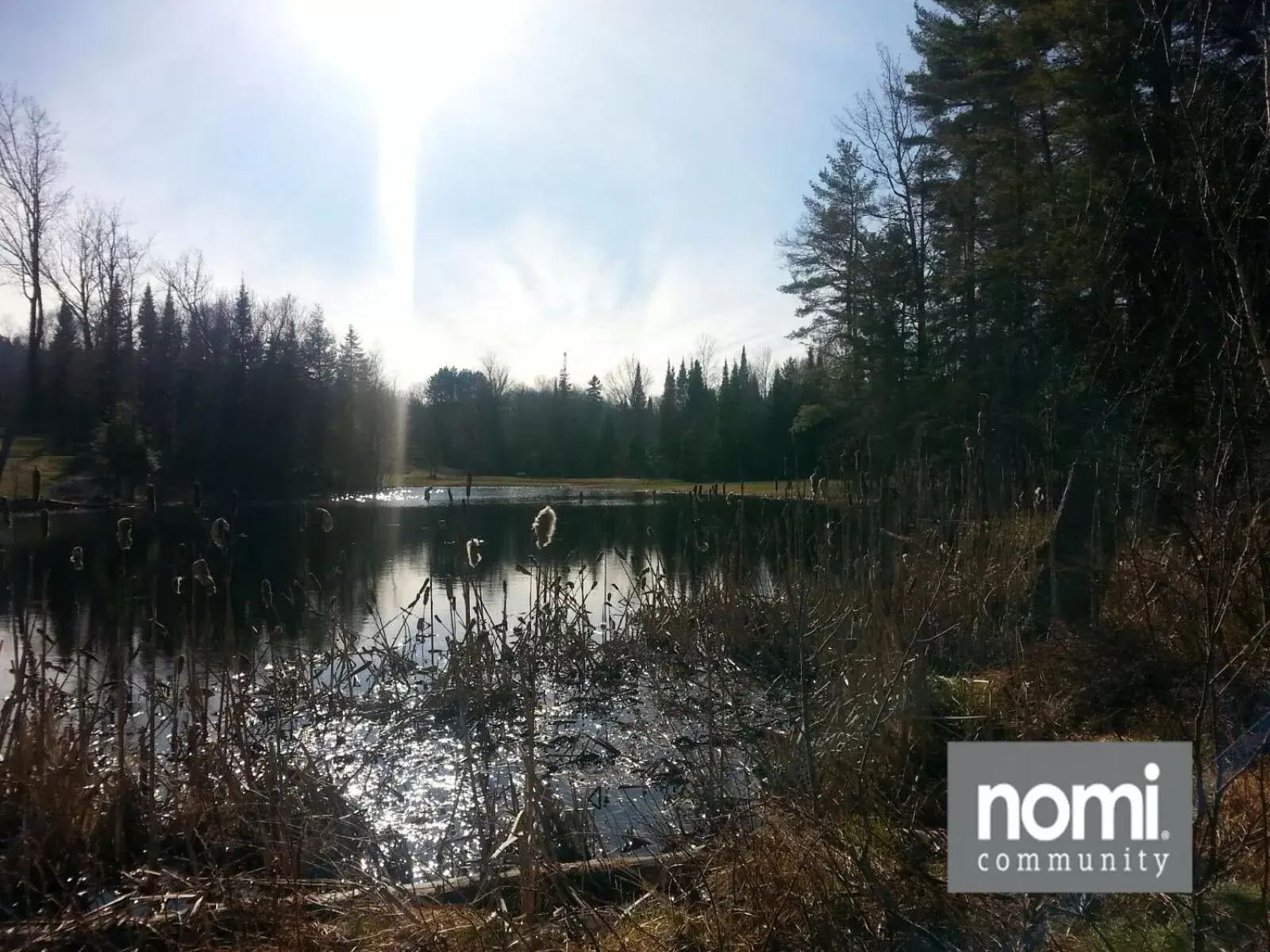 Natural landscape in Nomi Community