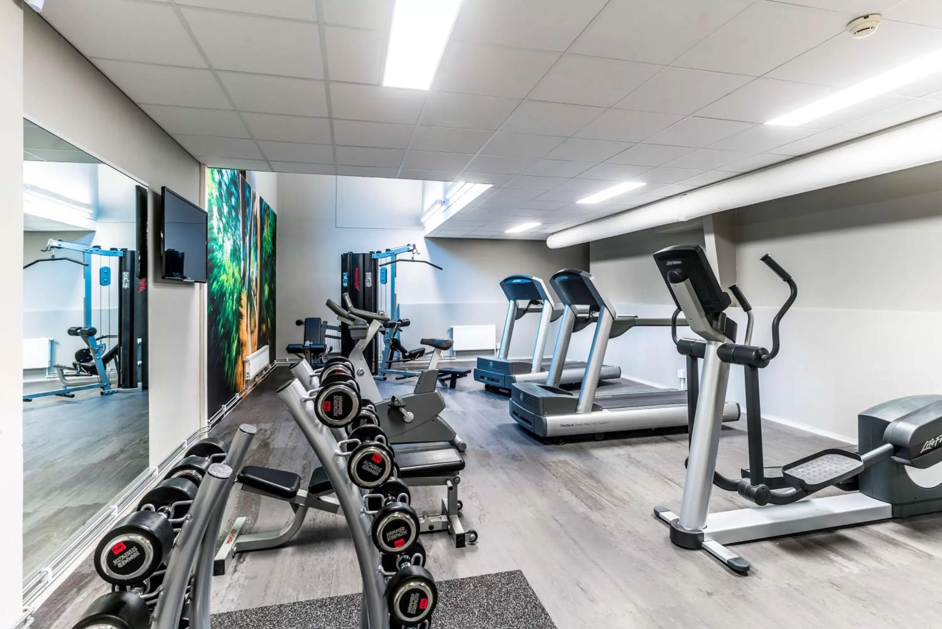 Activities, Fitness Center/Facilities in Scandic Frimurarehotellet