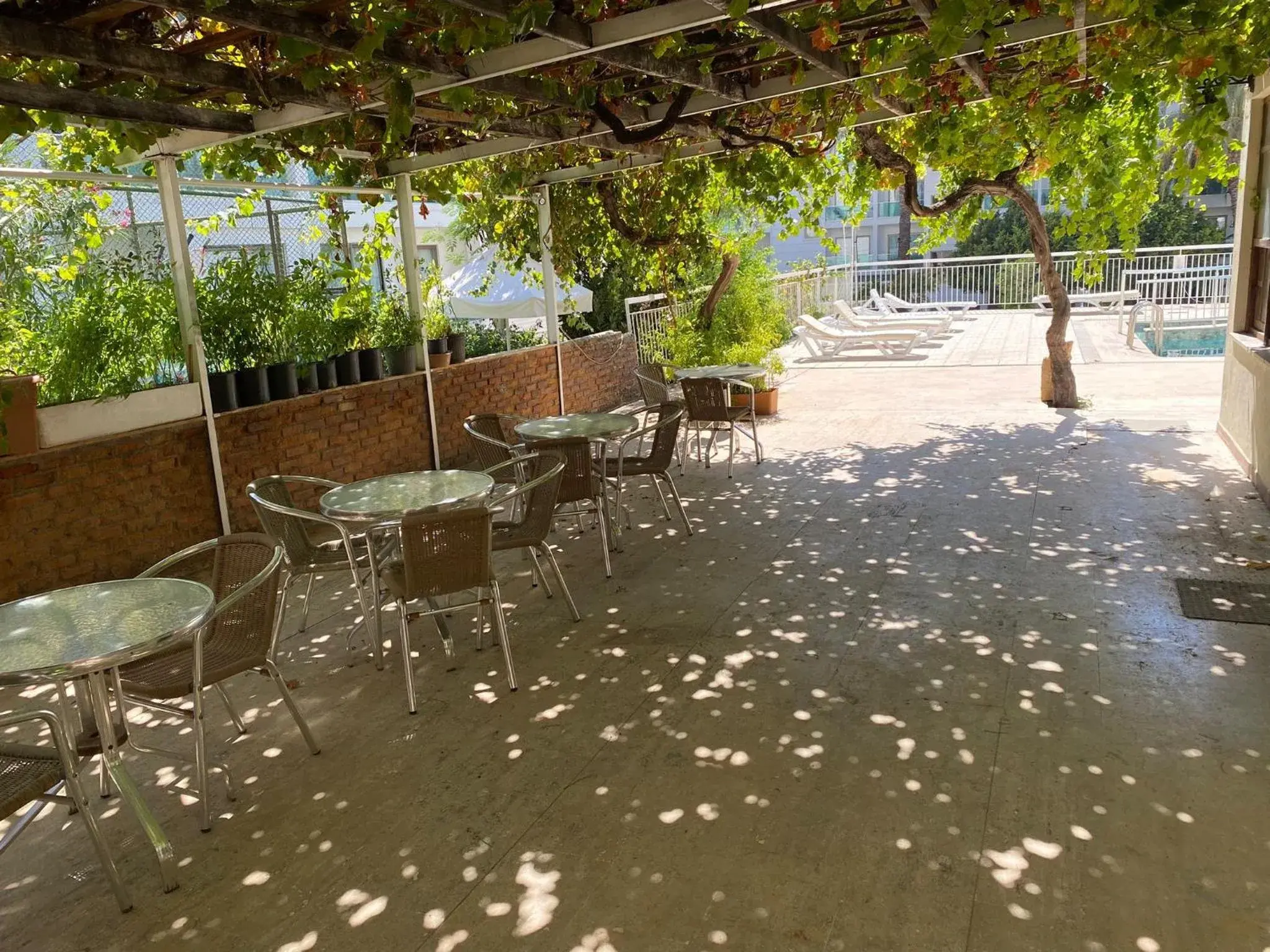 Patio in Prima Hotel