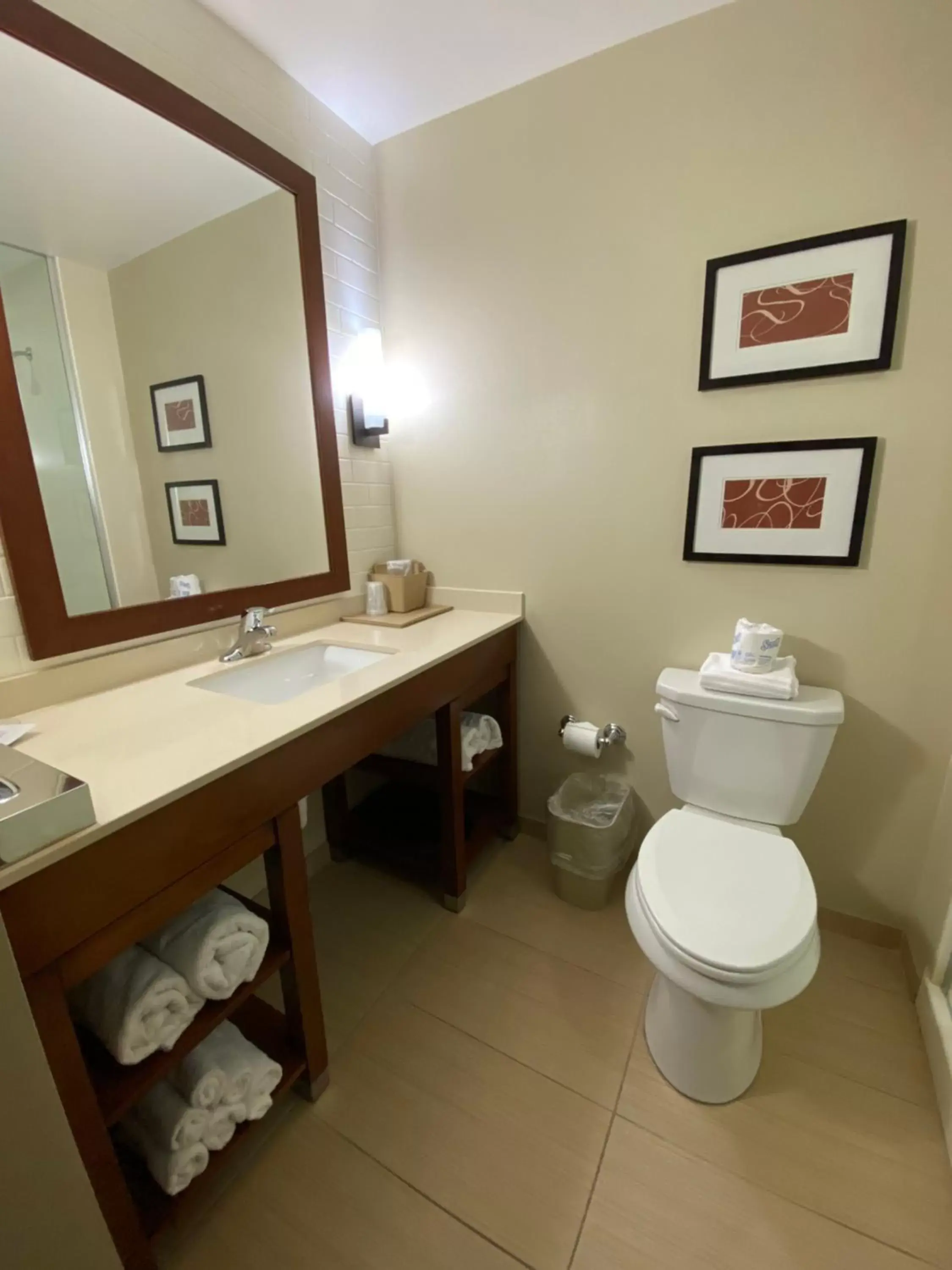 Bathroom in Comfort Suites Manheim - Lancaster