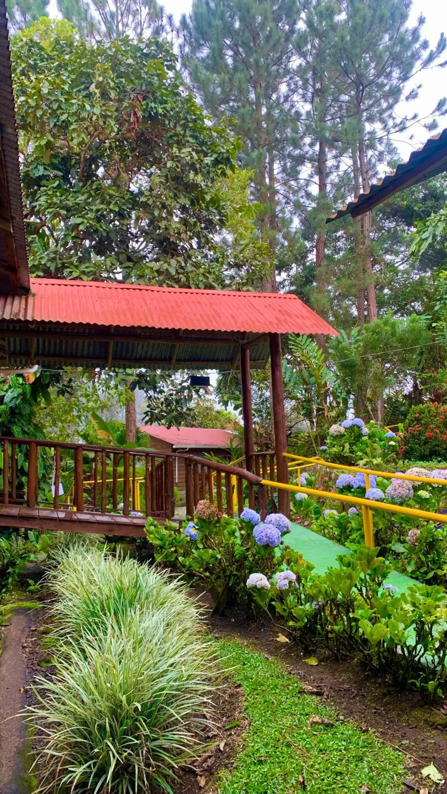 Patio, Property Building in Vista Turrialba Lodge