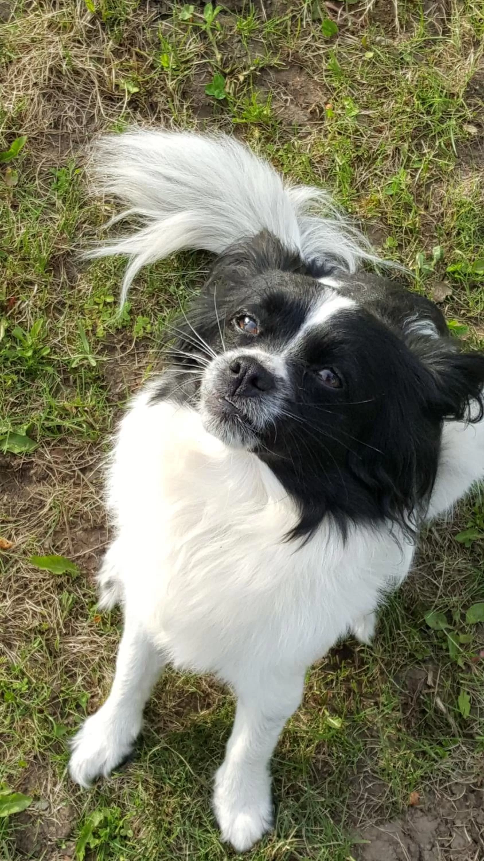 Animals in Wettstone Guest Ranch