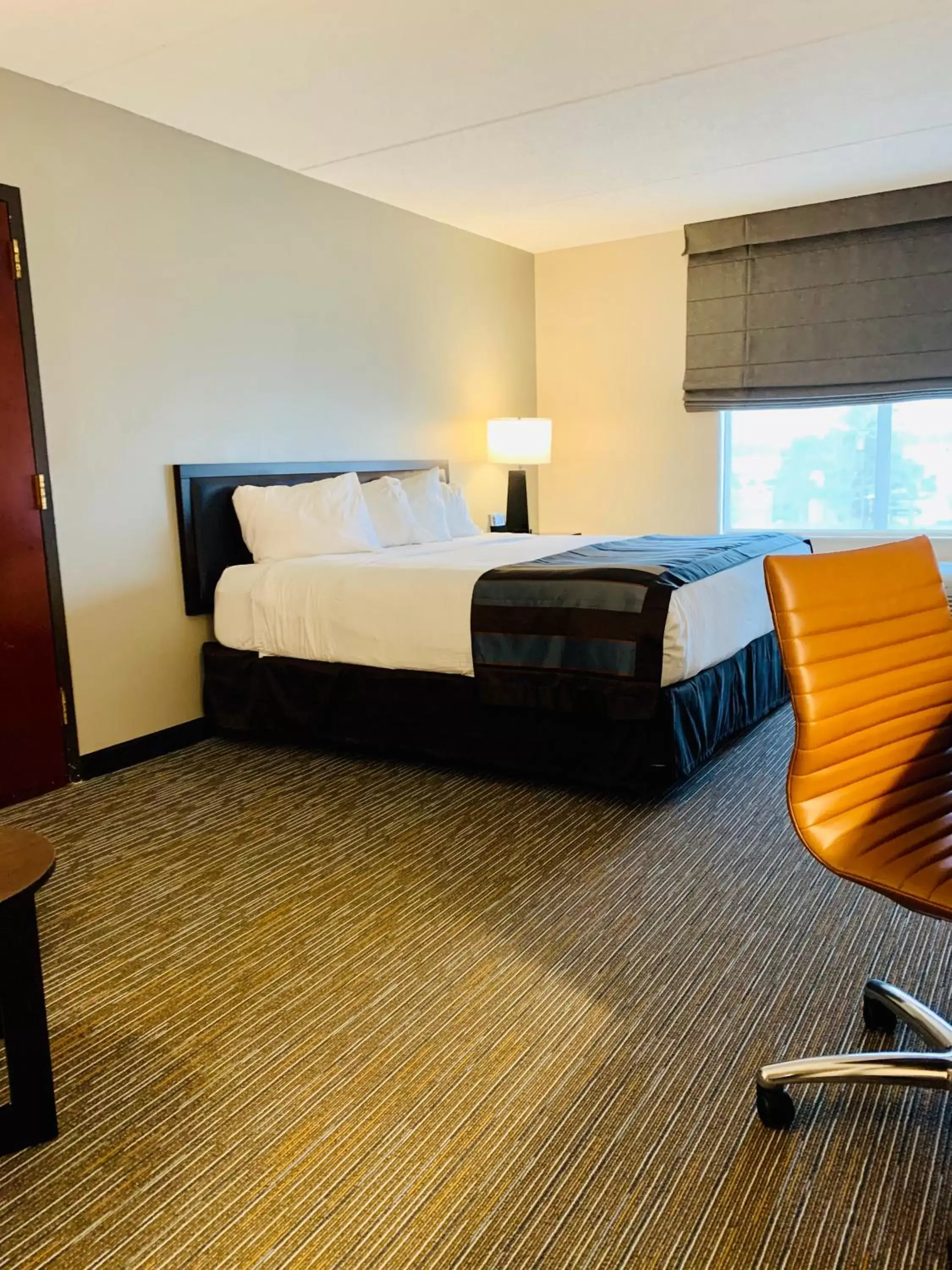 King Room - Disability Access - Non-Smoking in Wingate by Wyndham Wilmington King Room - Disability Access - Non-Smoking in Wingate by Wyndham Wilmington