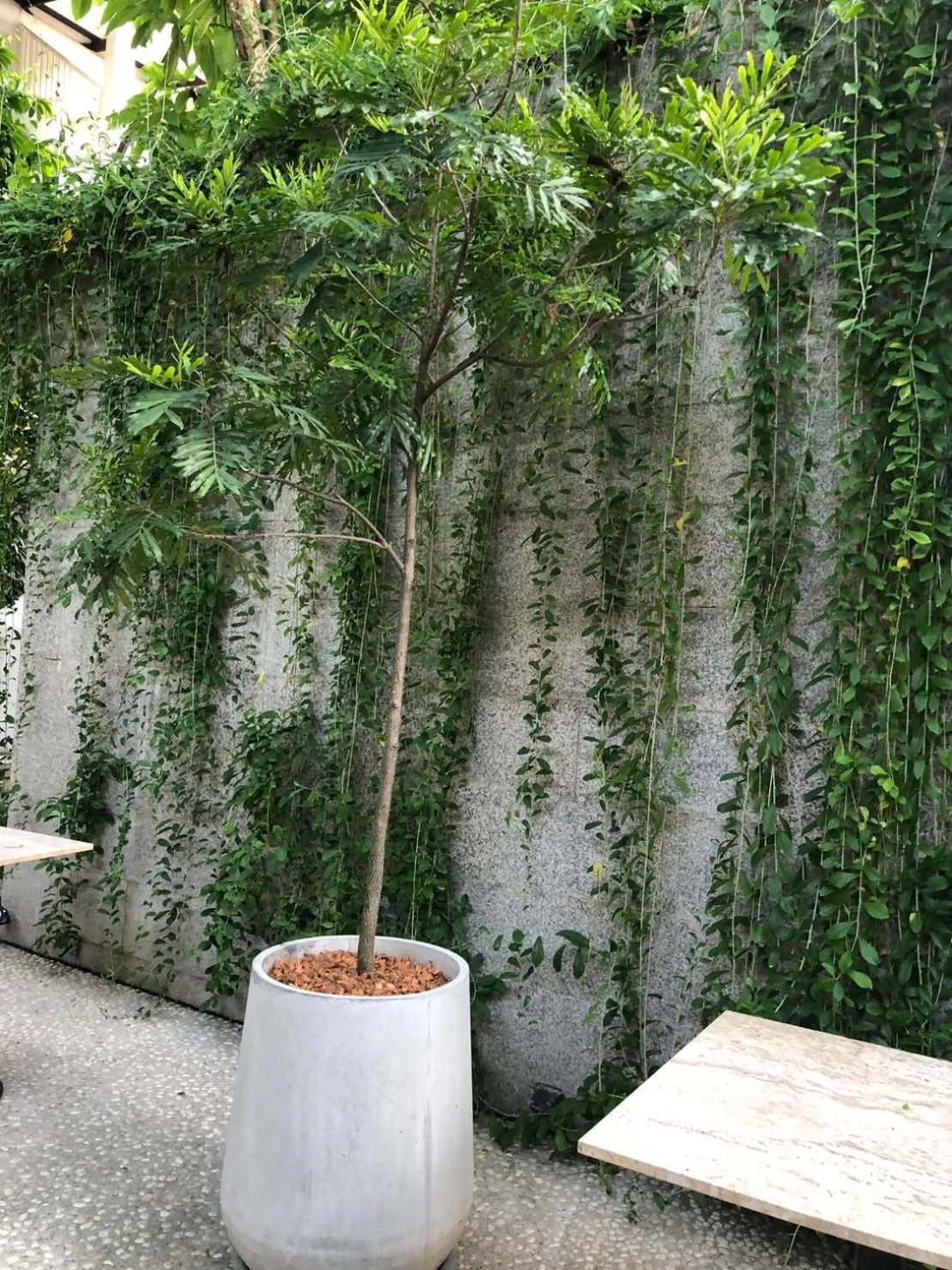 Natural landscape in Punnpreeda Beach Resort - SHA Plus Certified