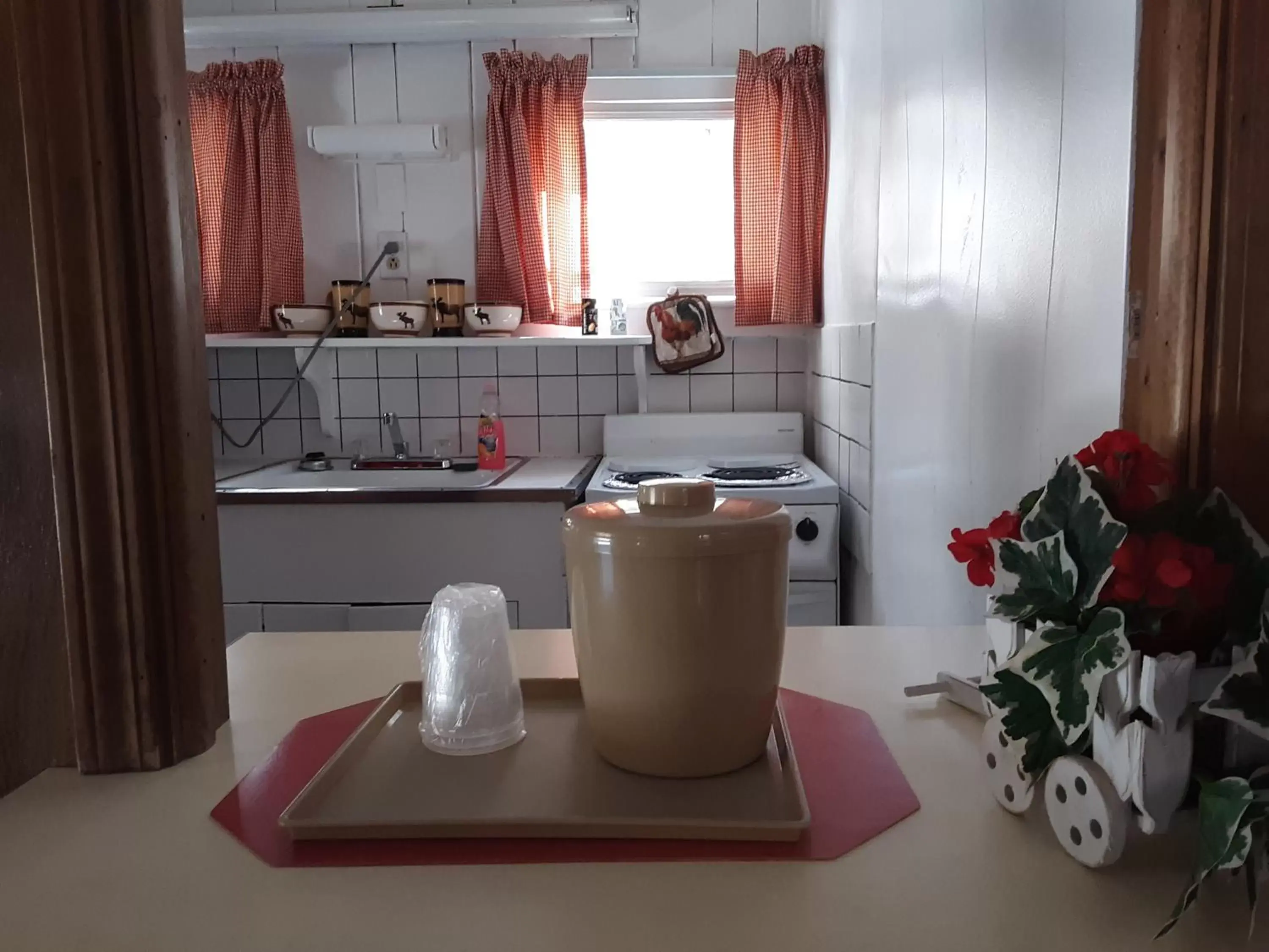 Kitchen/Kitchenette in The Evening Shade River Lodge and Cabins