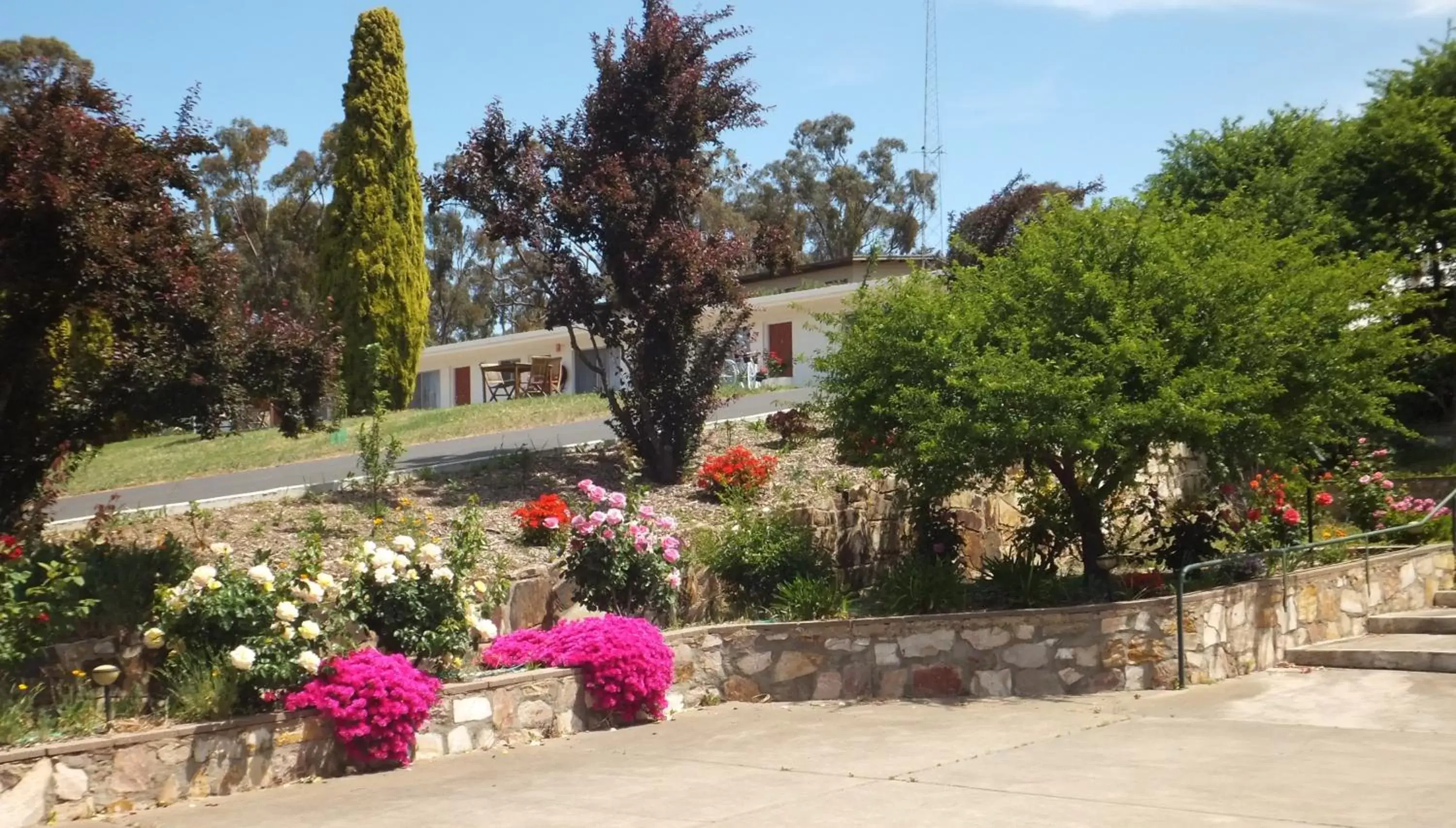 Garden, Property Building in Clare Valley Motel