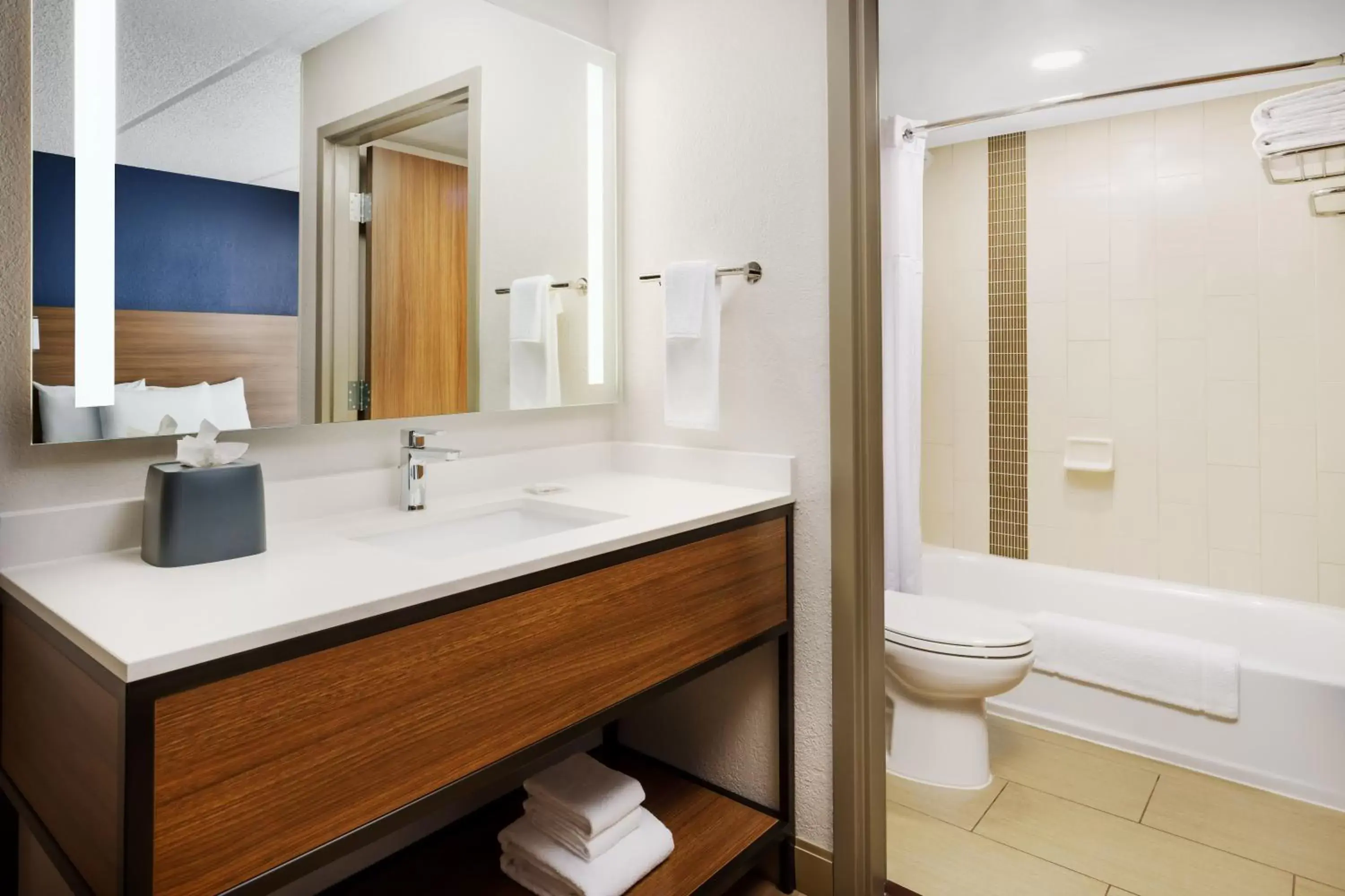 Bathroom in Hyatt Place Orlando / I-Drive / Convention Center