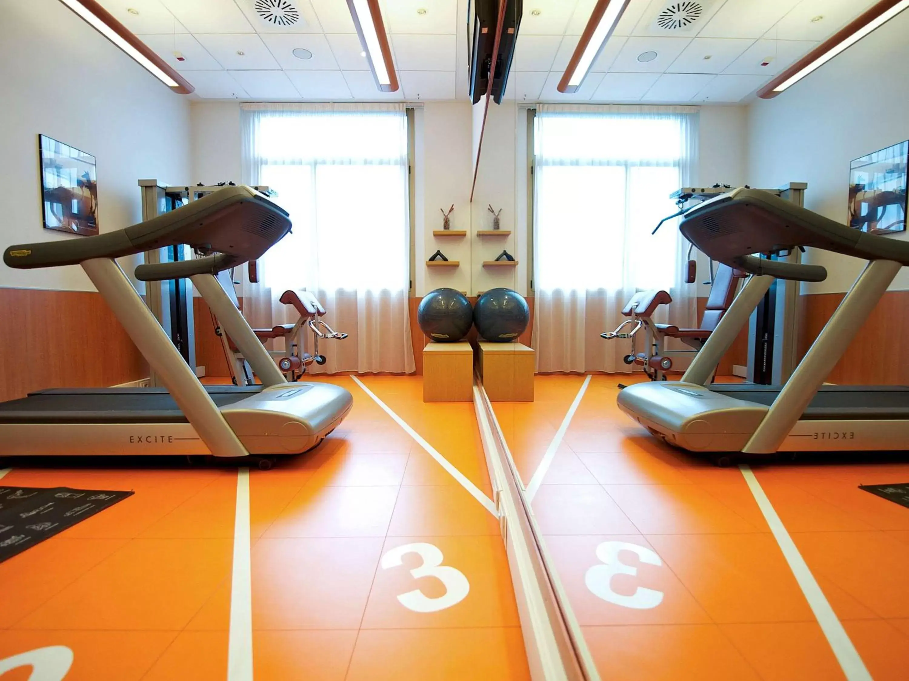 Fitness centre/facilities, Fitness Center/Facilities in Novotel Torino Corso Giulio Cesare