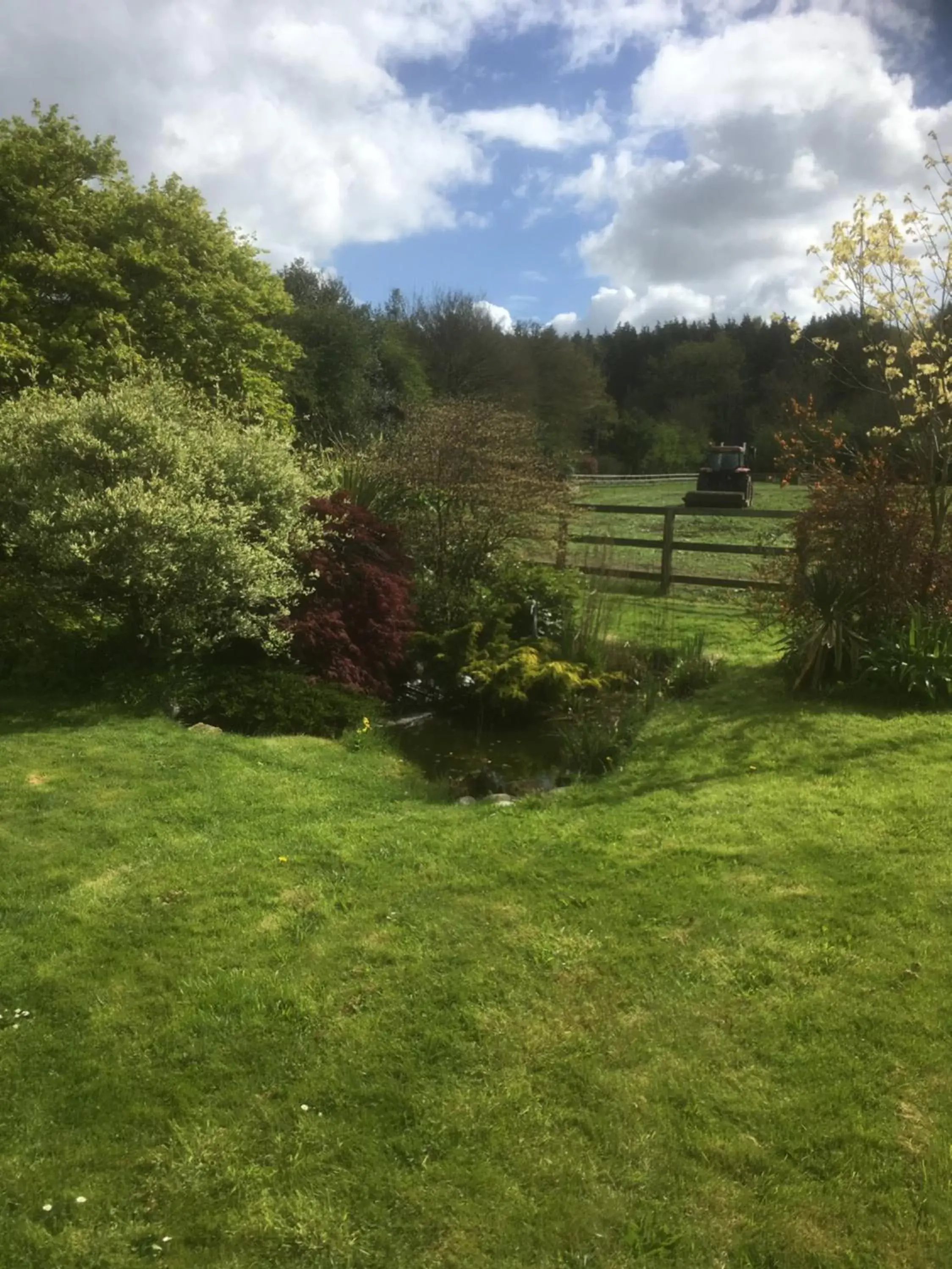 Garden in Woodlands Cottage Farm