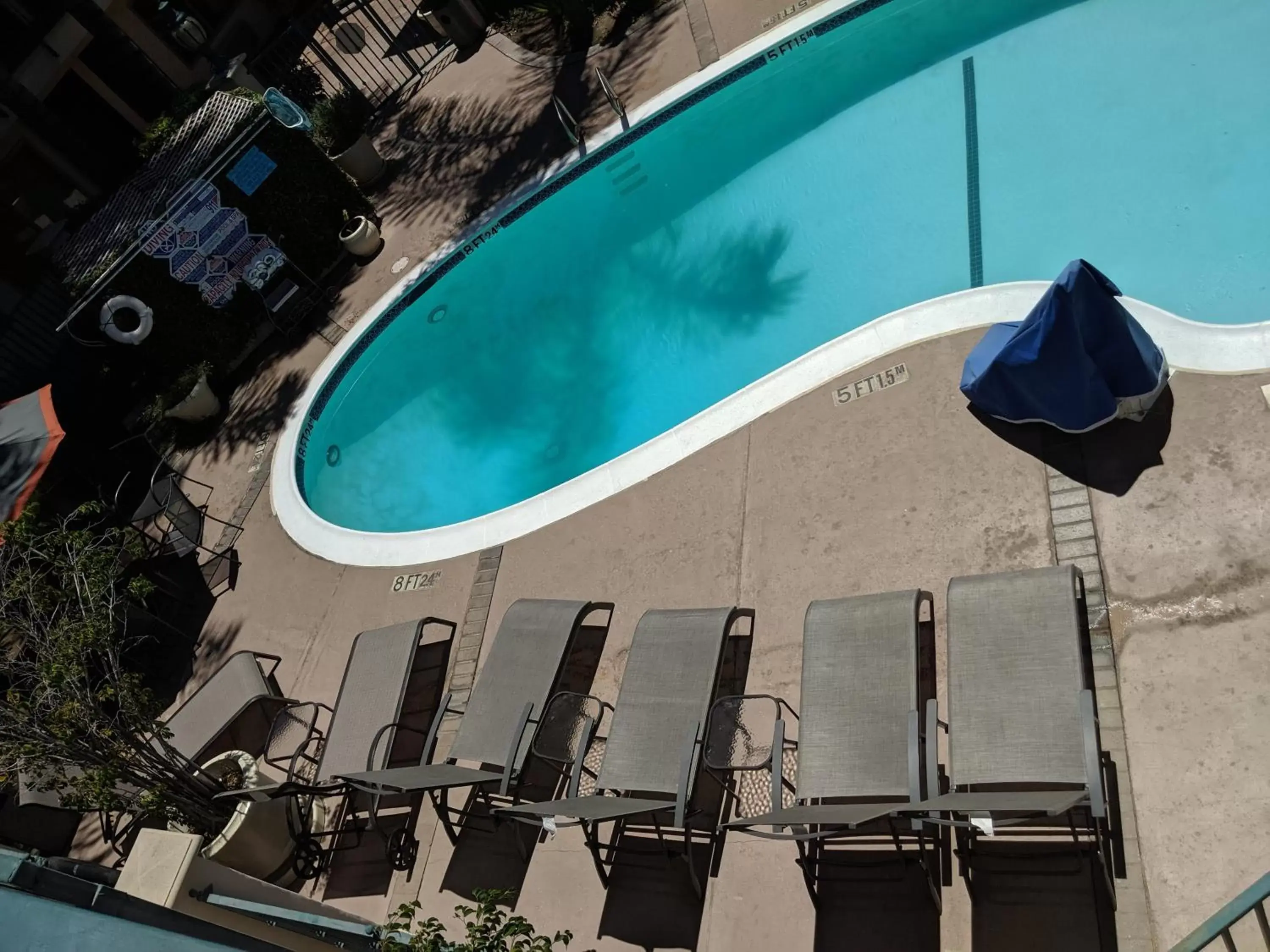 Swimming pool, Pool View in Tarzana Inn
