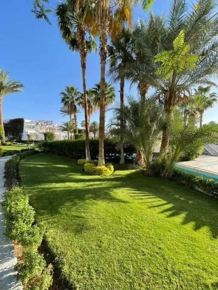 Garden in Monte Carlo Sharm Resort & Spa