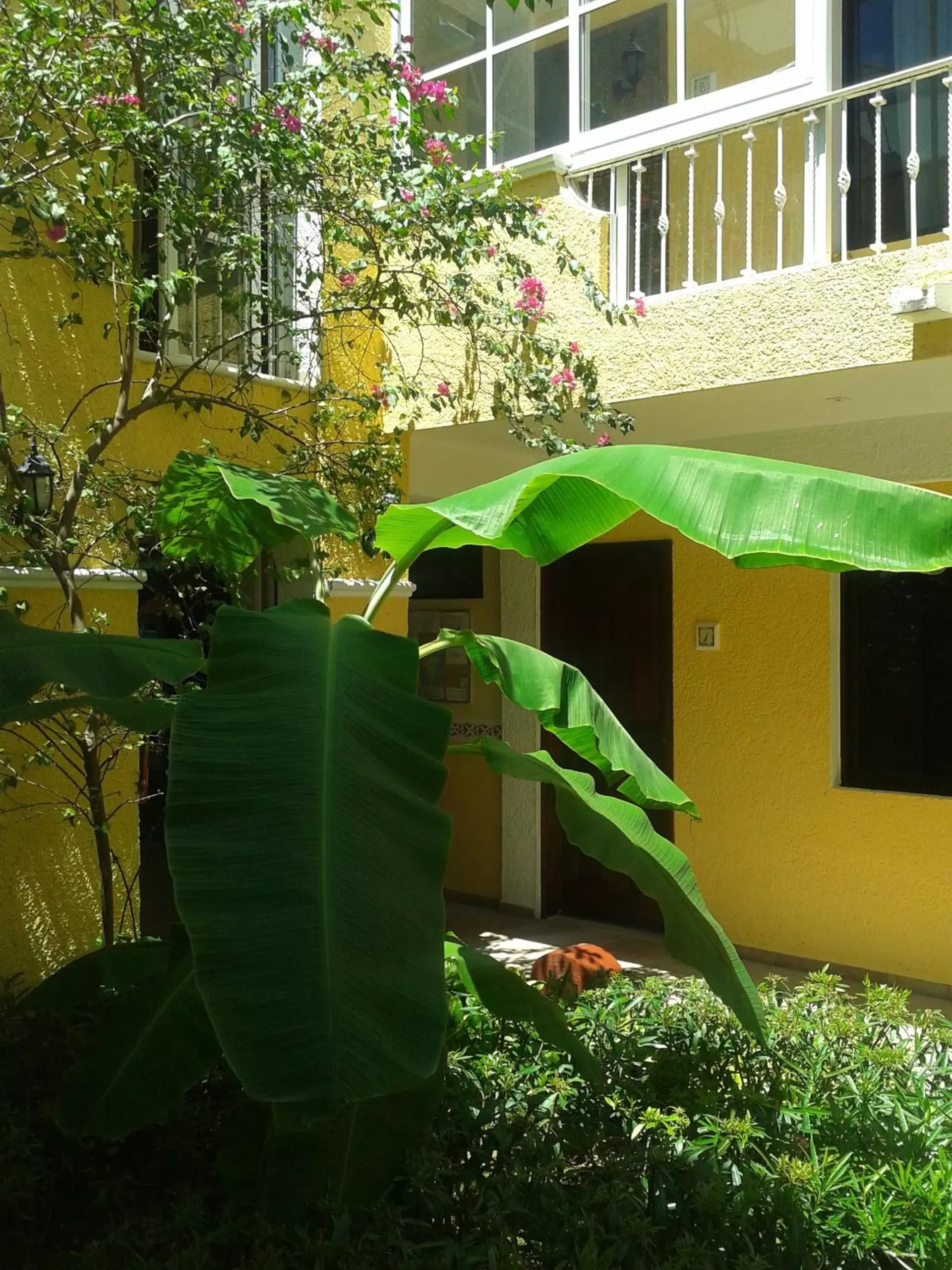 Balcony/Terrace, Garden in Hotel Real Del Mayab