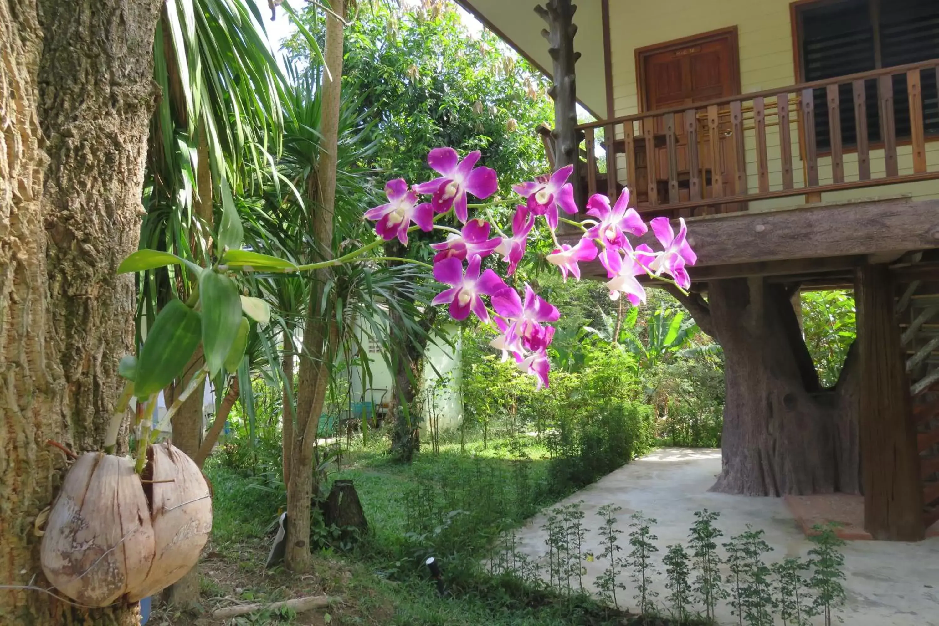 Garden view in Macura Resort