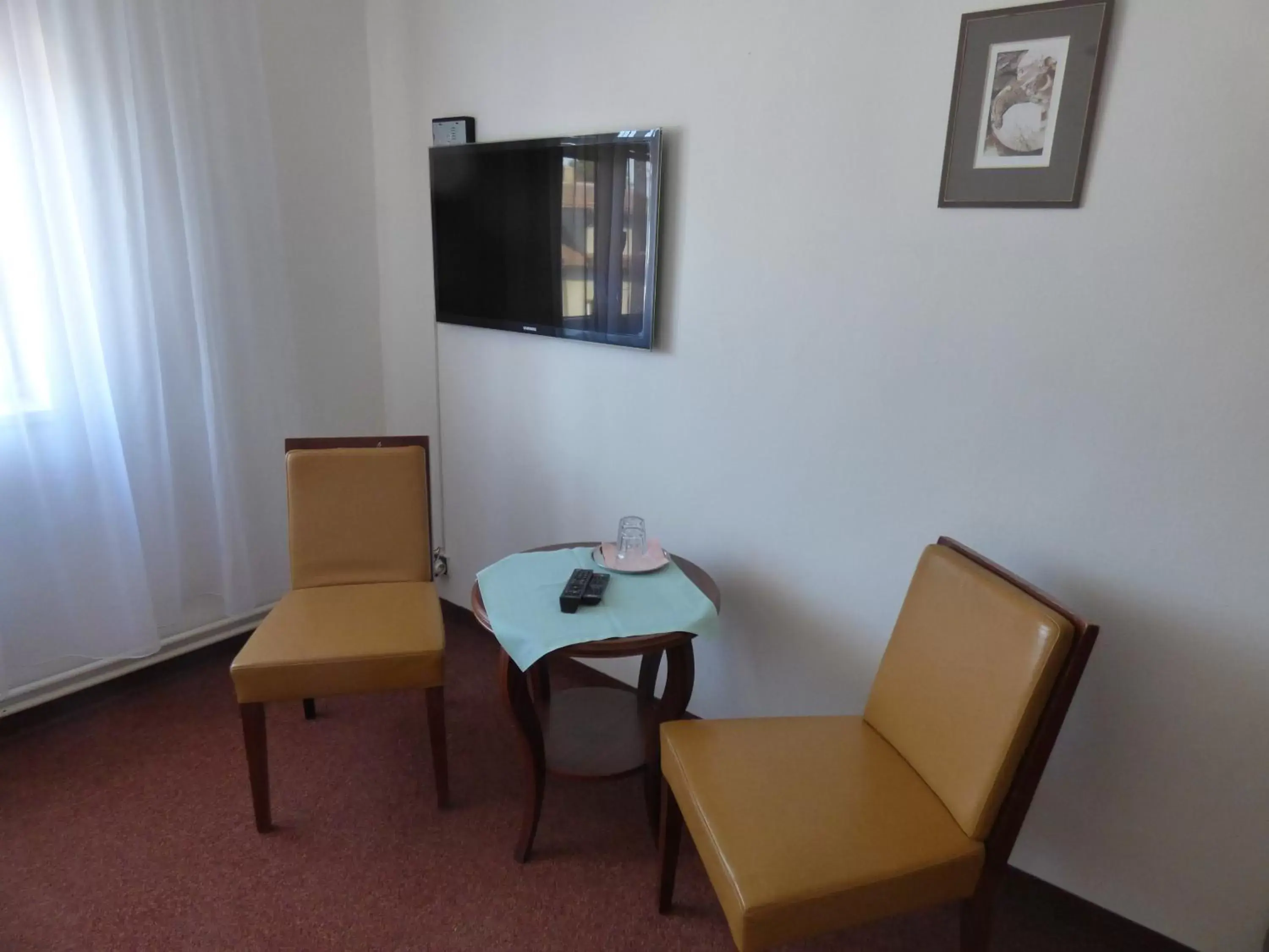 Double Room in Hotel Svornost