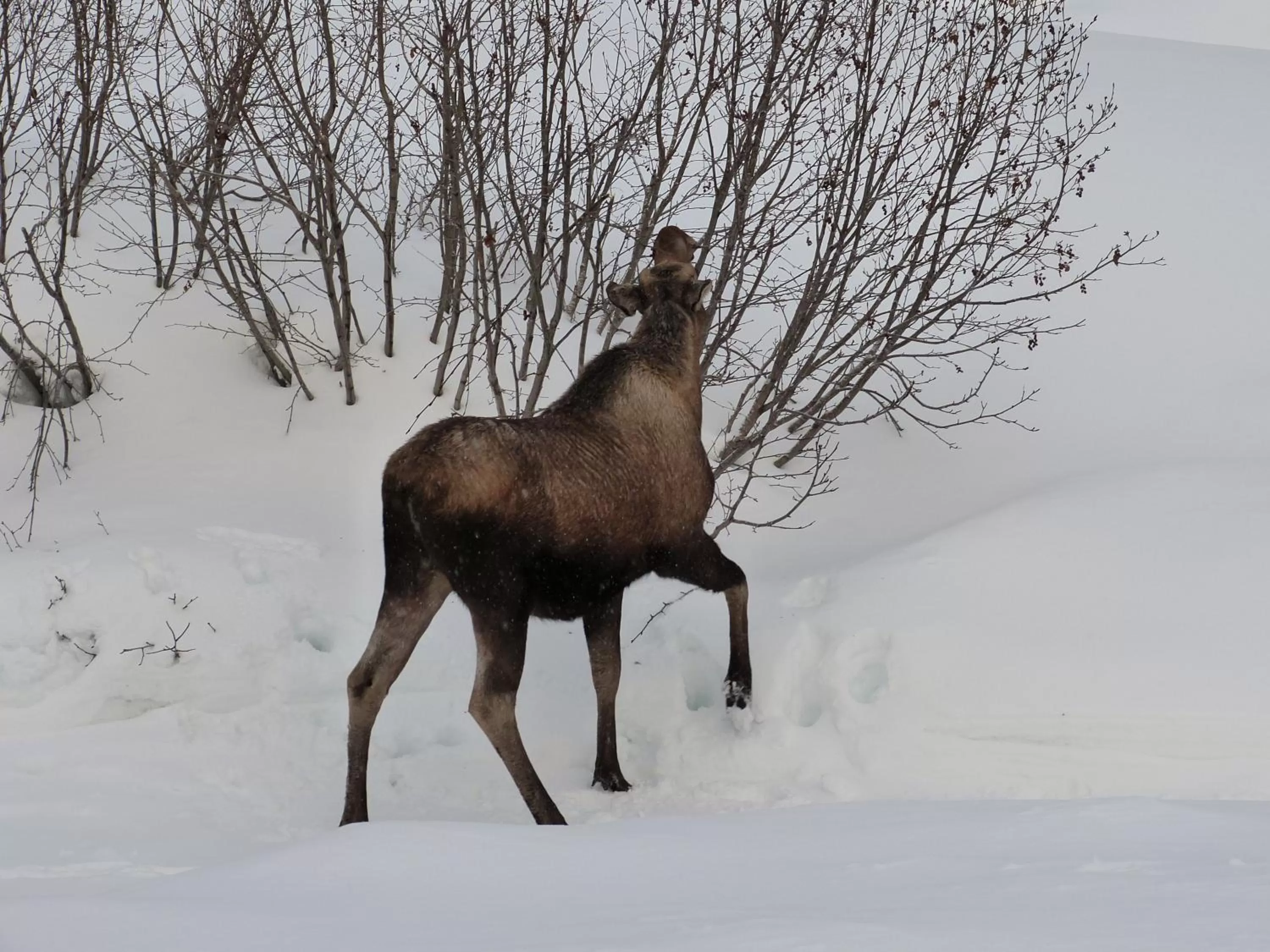 Day in Halcyon Heights B&B/Inn