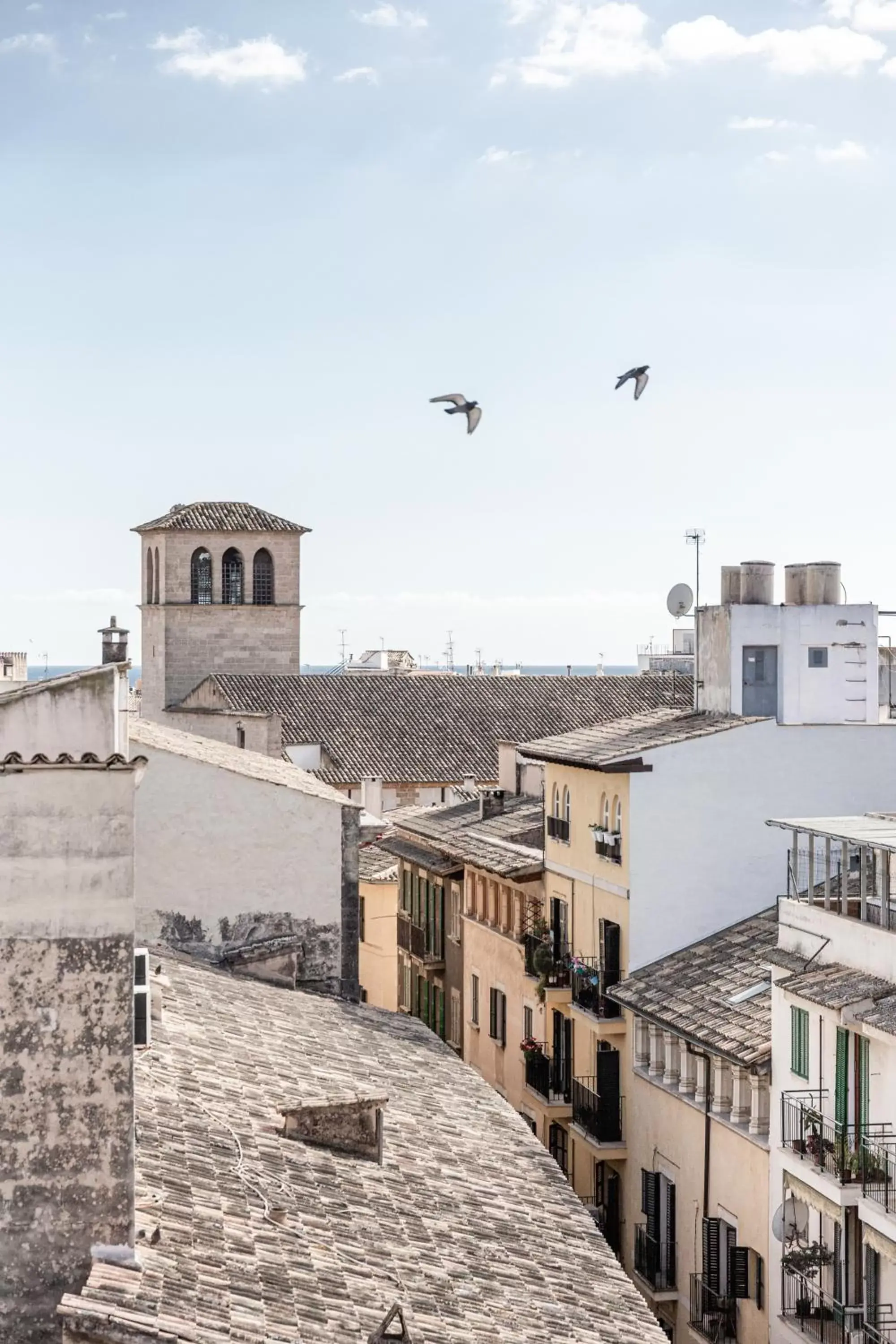 City view in Concepcio by Nobis, Palma, a Member of Design Hotels