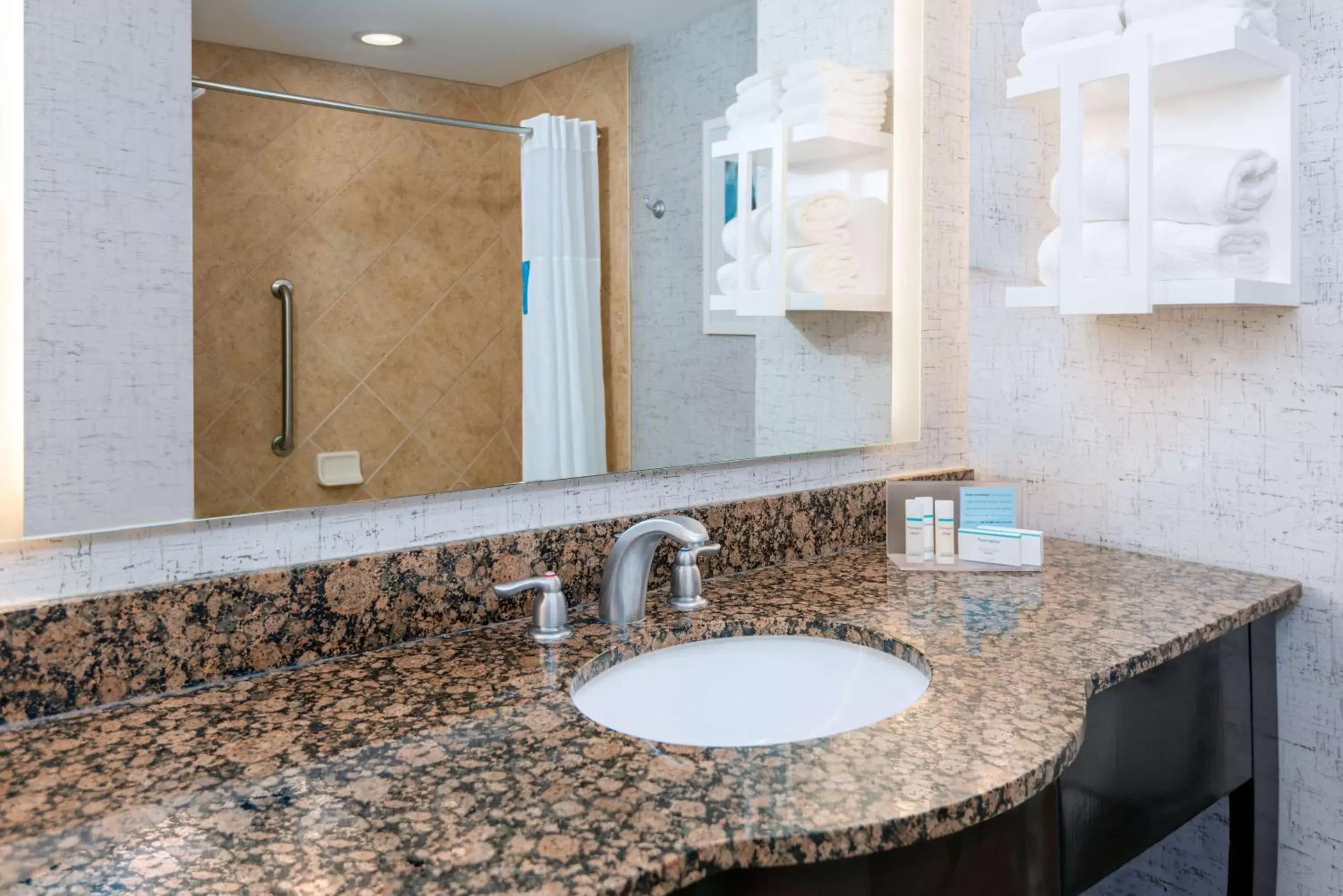 Bathroom in Hampton Inn and Suites Sarasota/Lakewood Ranch