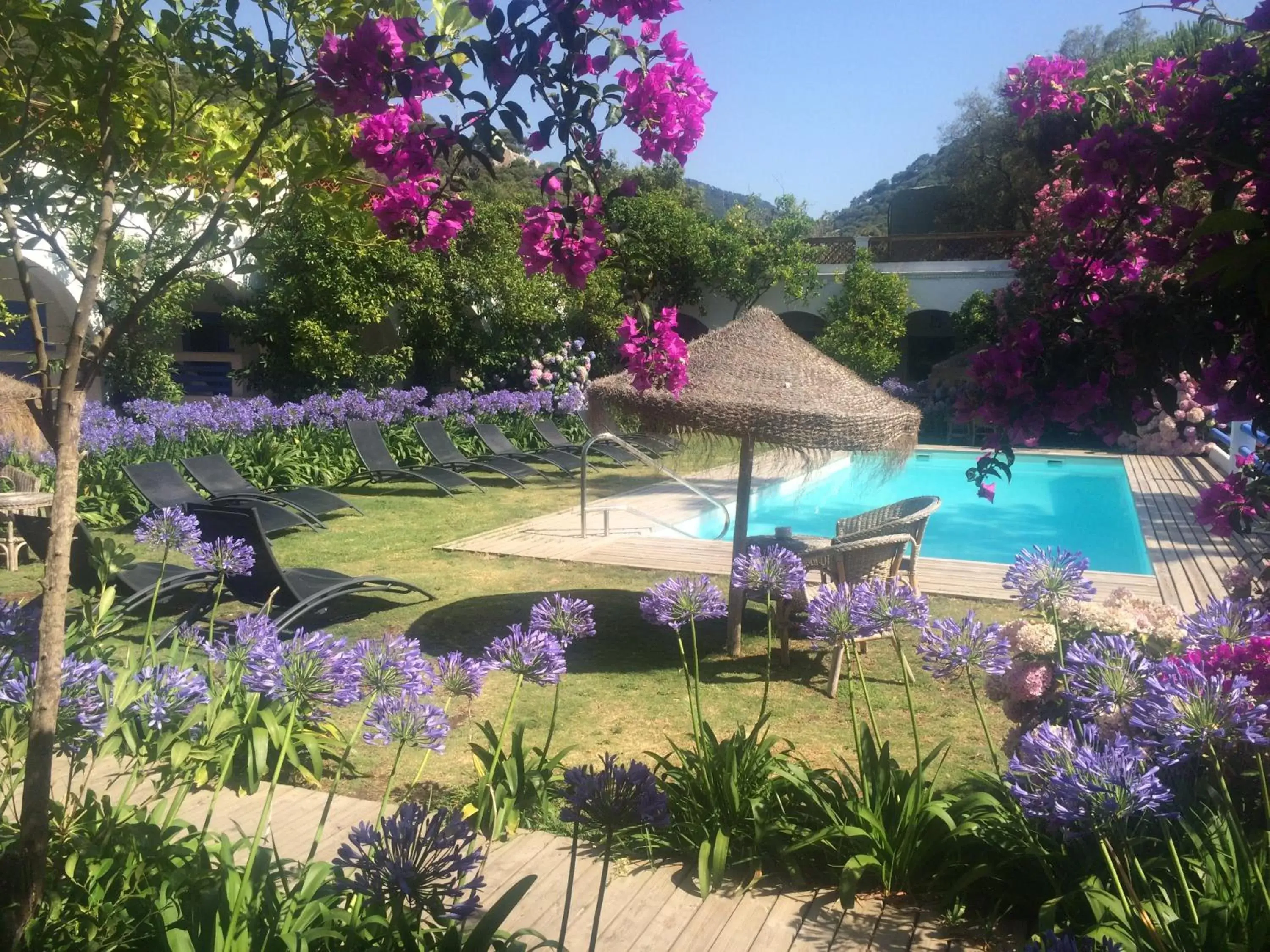 Swimming Pool in Mesón de Sancho