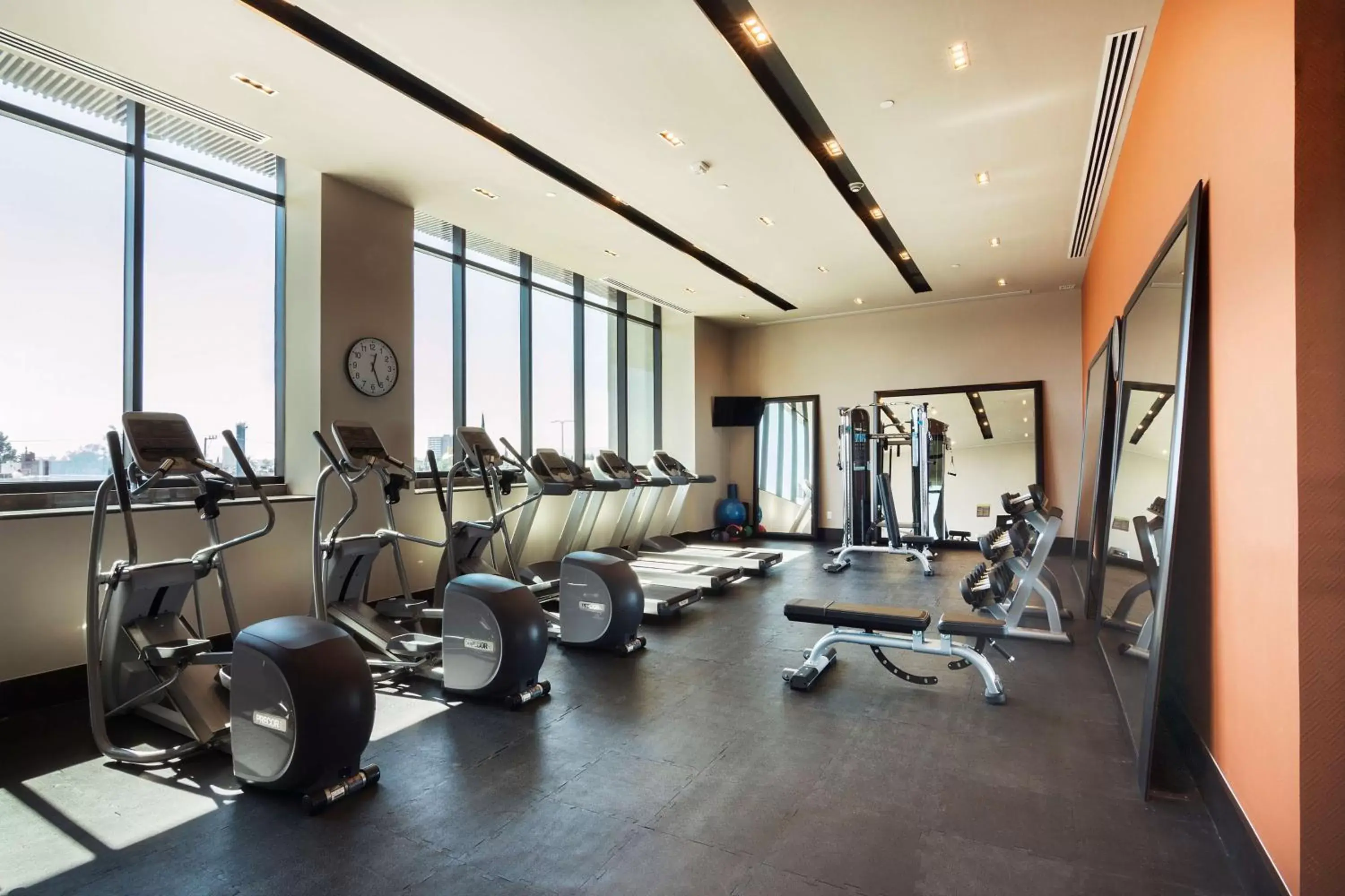 Fitness centre/facilities, Fitness Center/Facilities in Hilton Garden Inn Aguascalientes