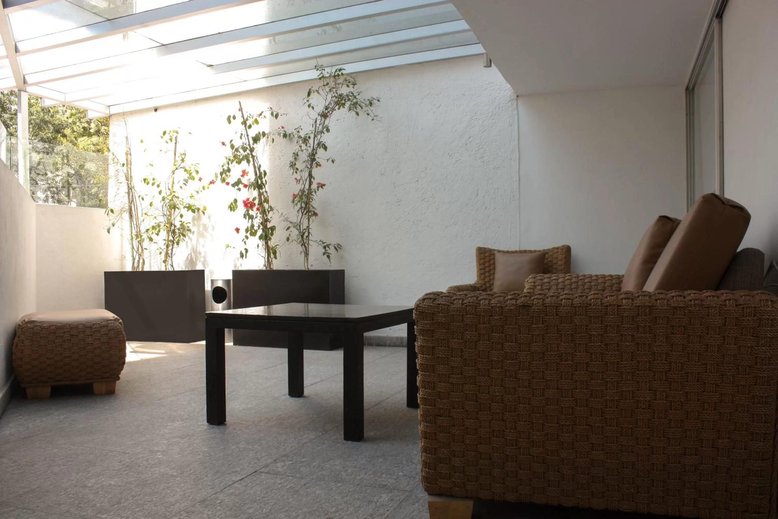 Patio in LaiLa Hotel CDMX Reforma