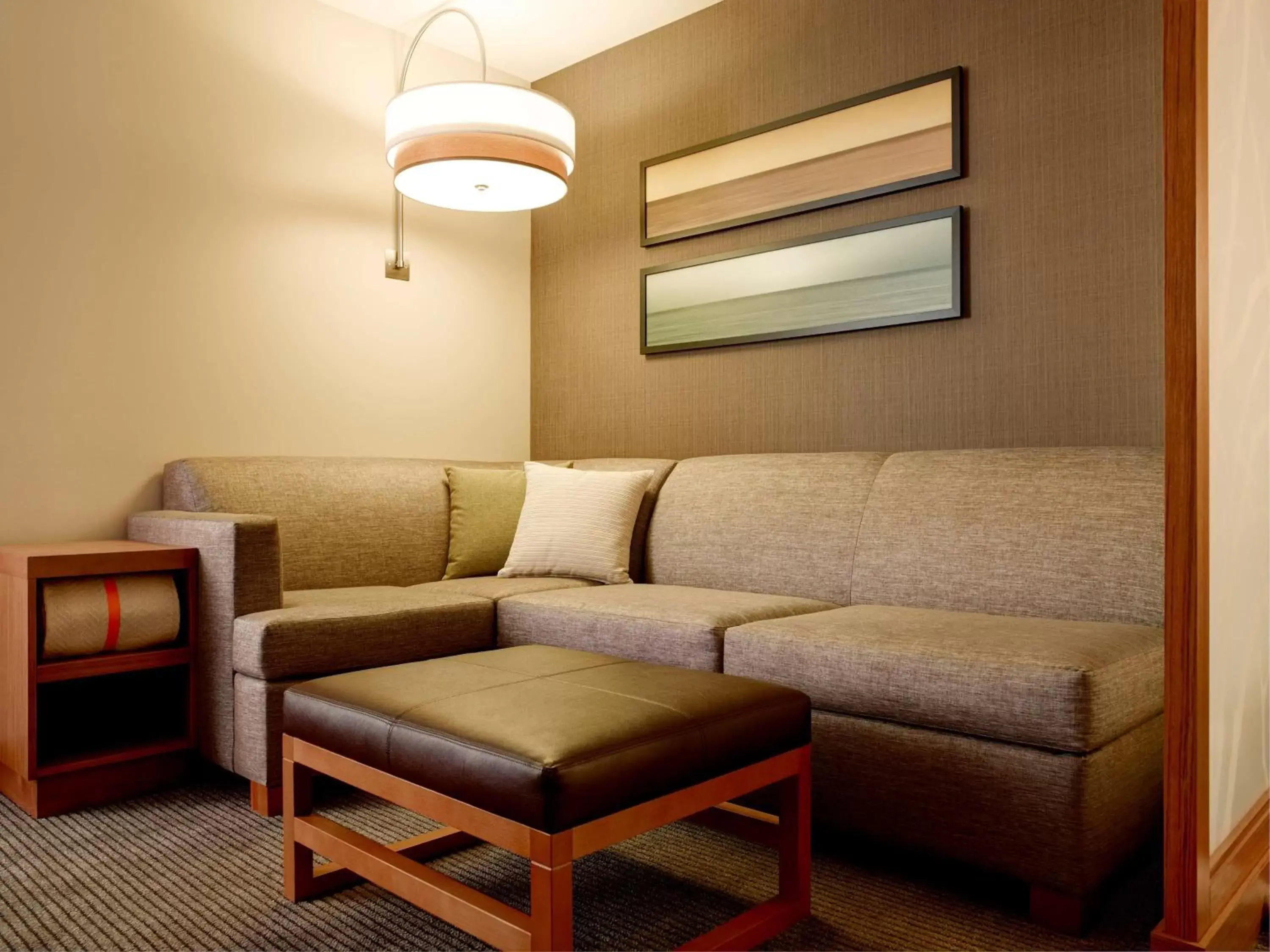 Photo of the whole room, Seating Area in Hyatt Place Arlington Courthouse
