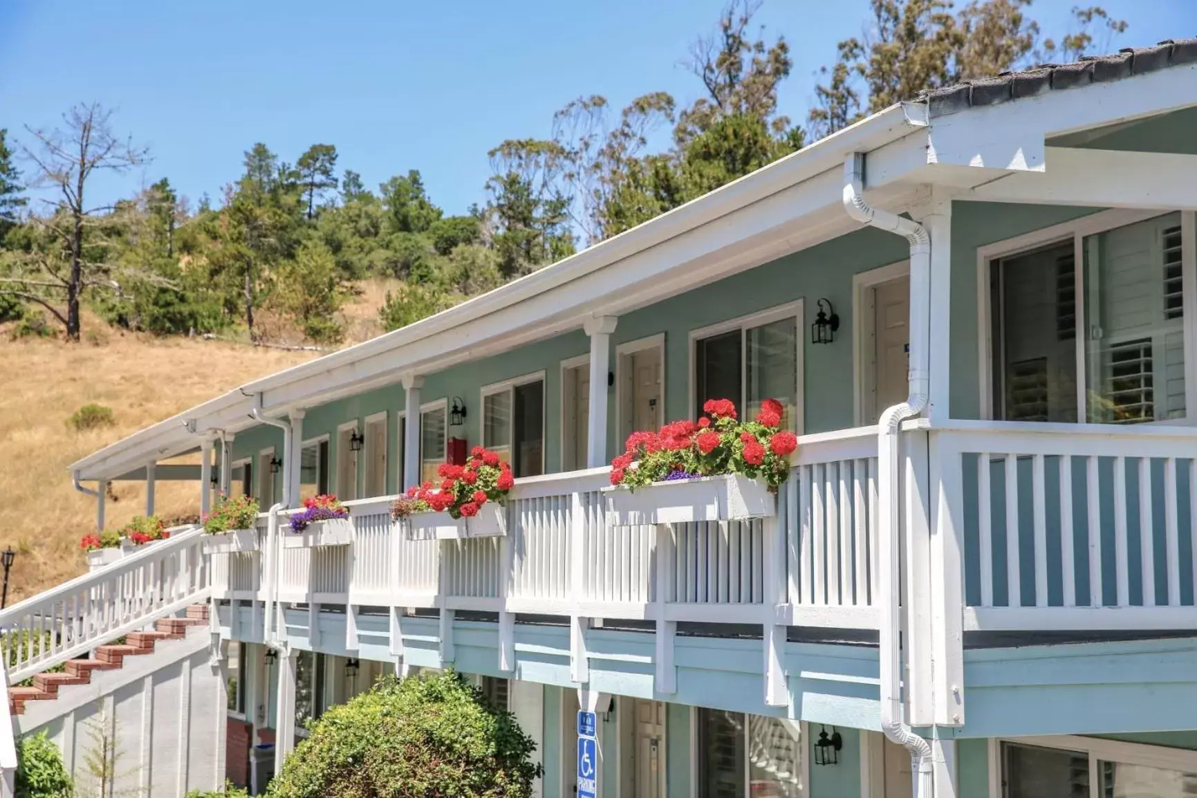 Property Building in Bluebird Inn