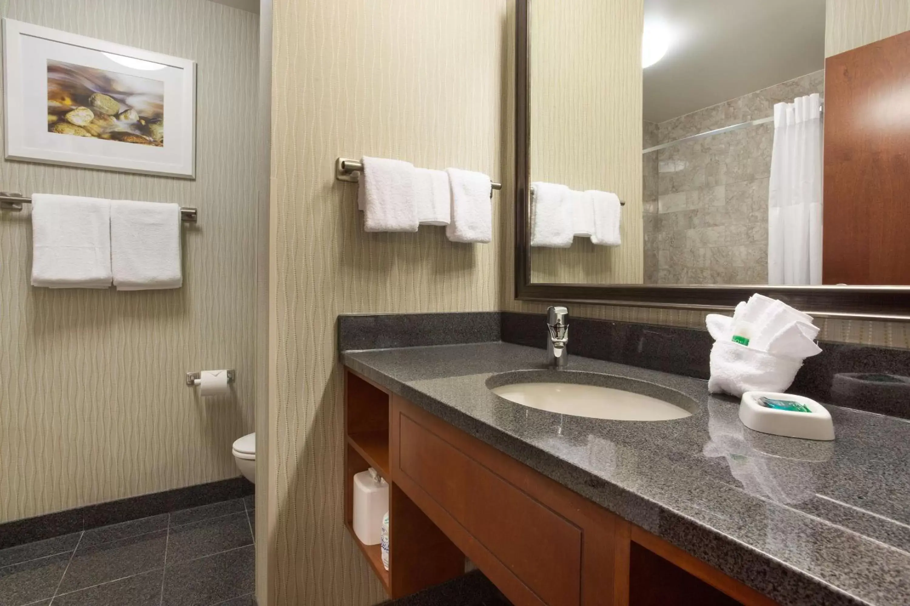 Bathroom in Drury Plaza Hotel Indianapolis Carmel