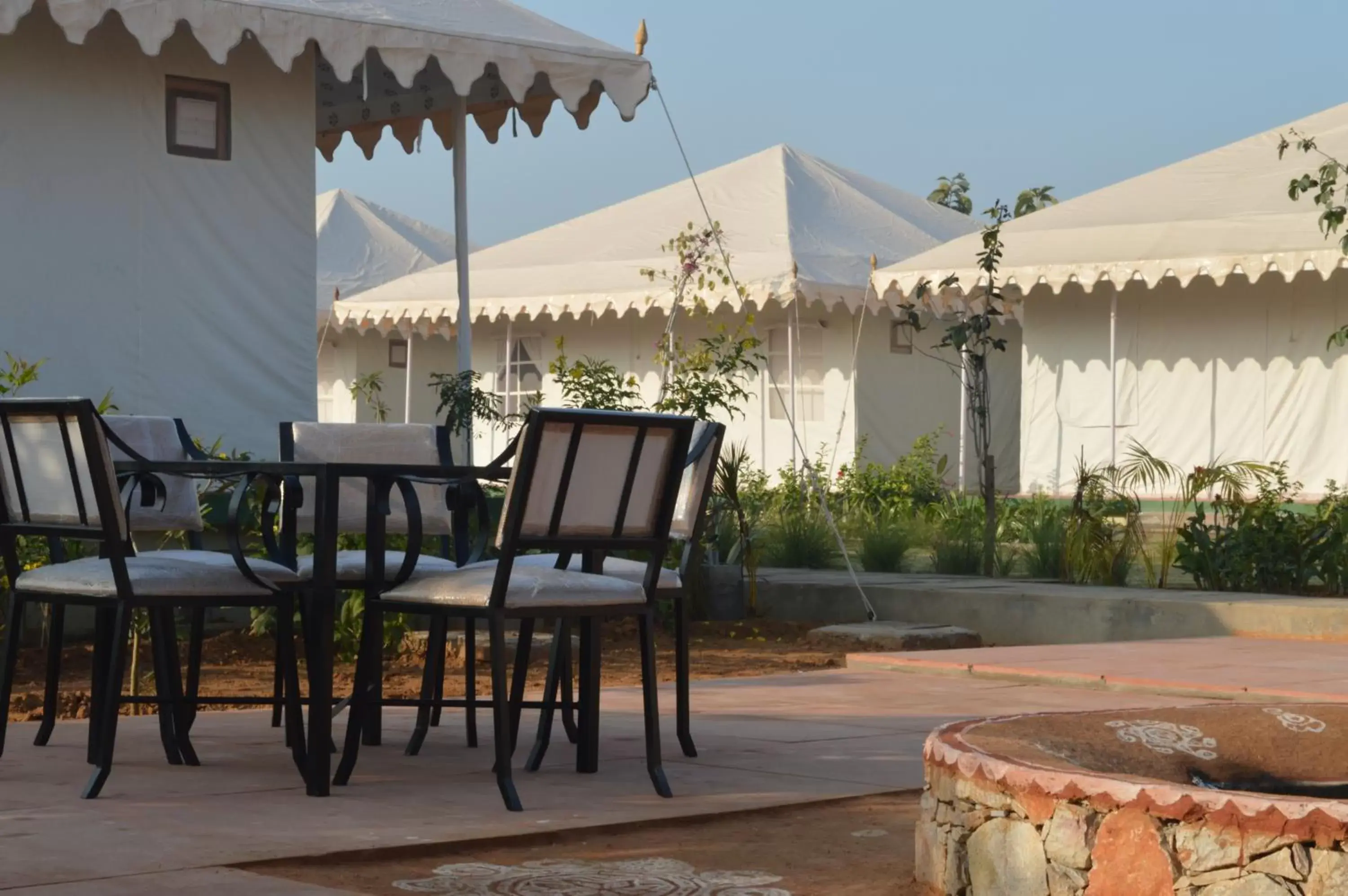 Garden view in Madho Bagh Garden view in Madho Bagh